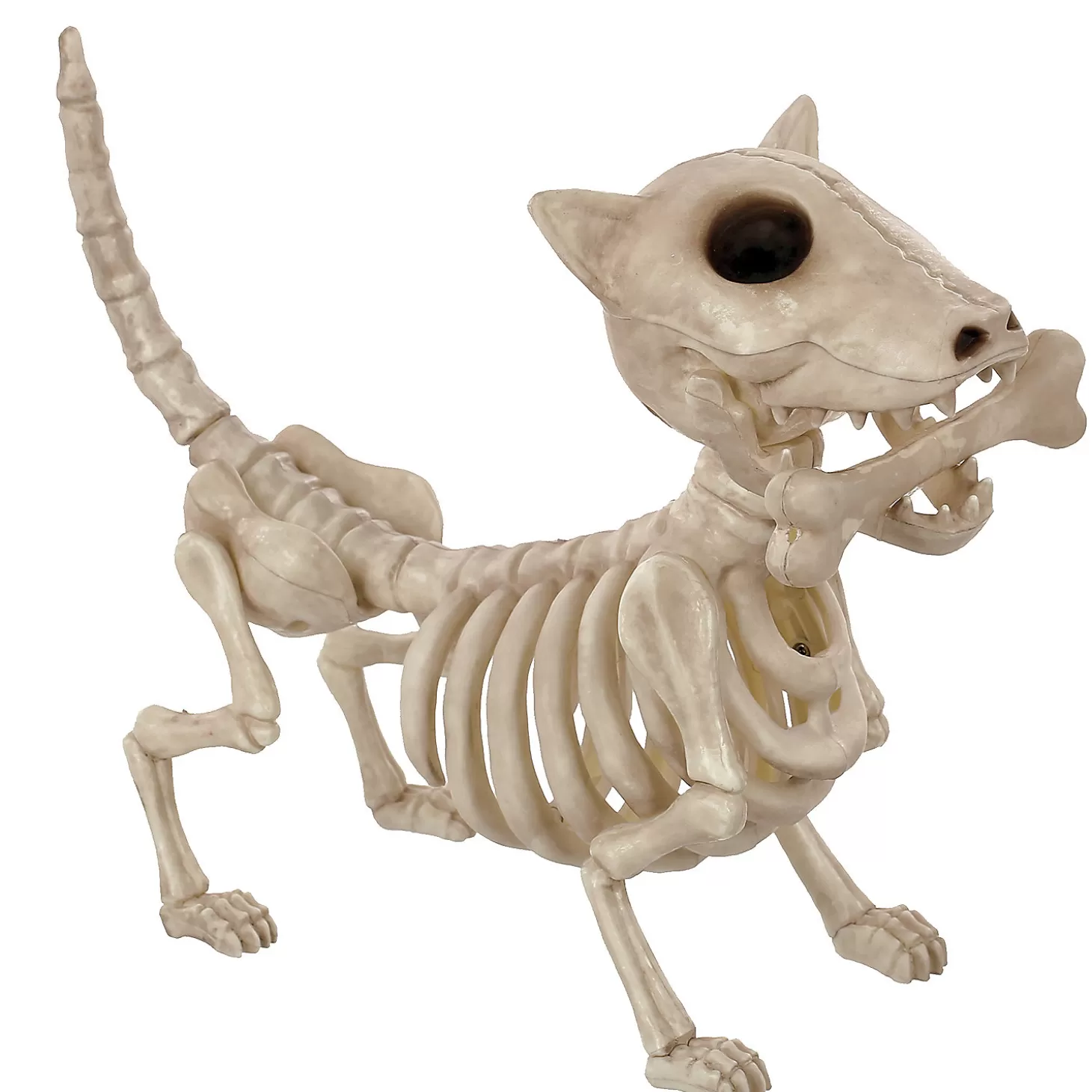 Sale 11" Digger The Skeleton Dog Decoration Skulls & Skeletons