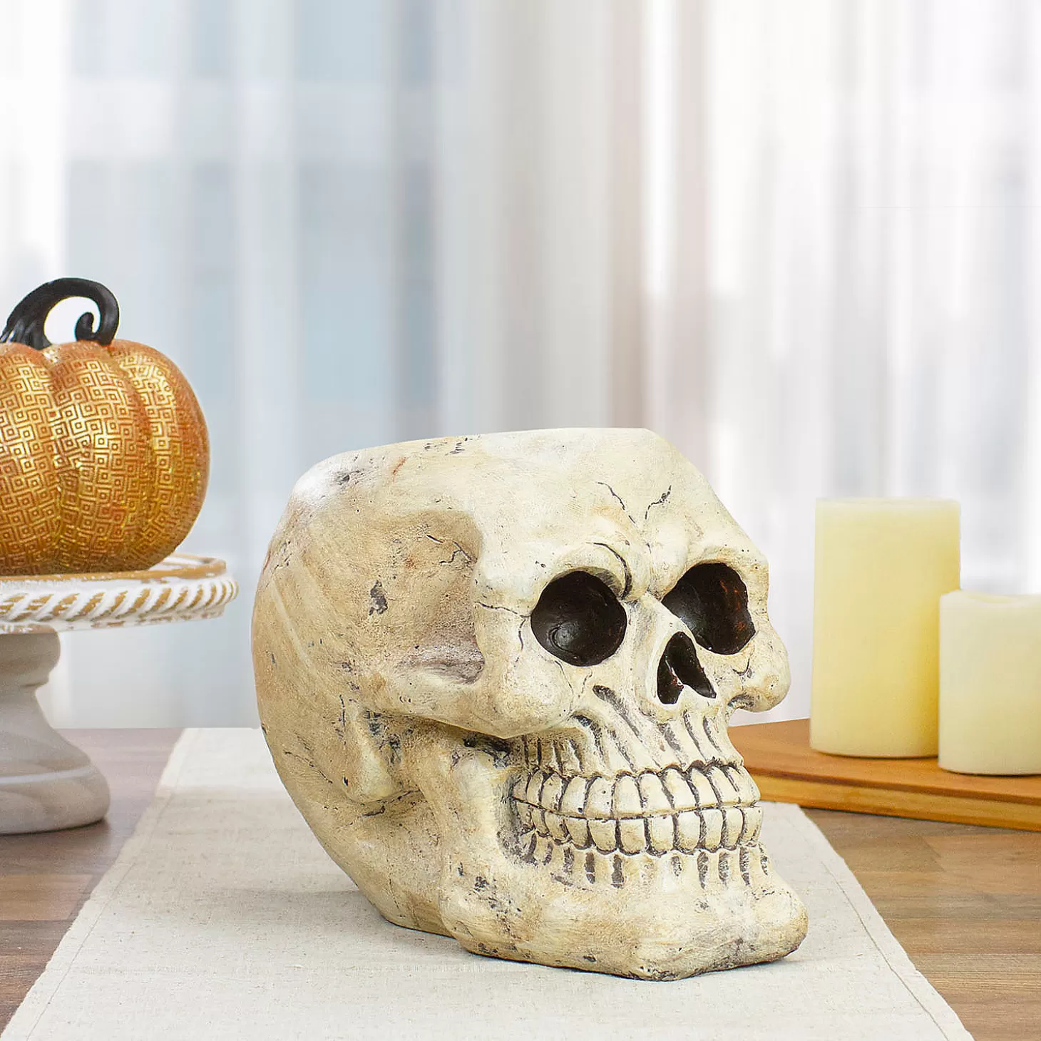 Store 11" Ivory And Black Halloween Skull Tabletop Decoration Skulls & Skeletons