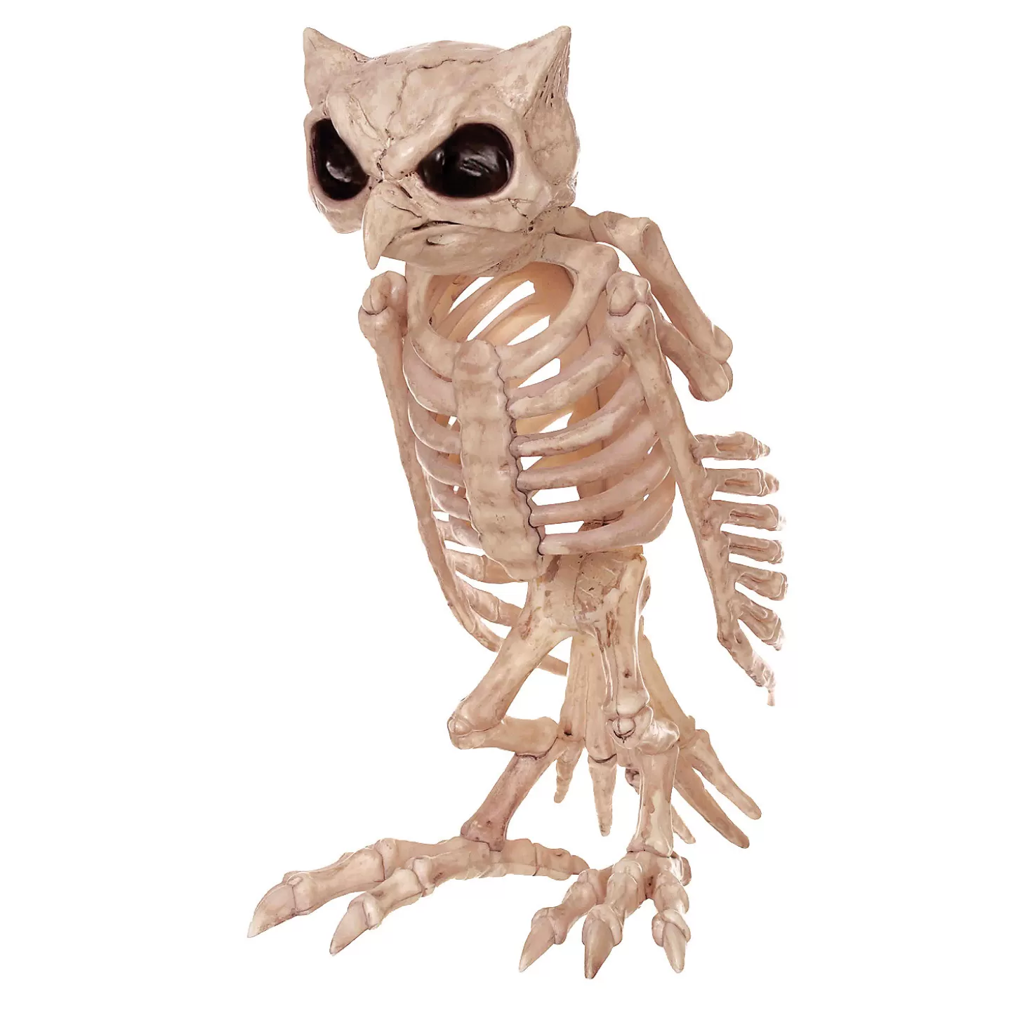 Sale 13.5" Owl Skeleton Decoration Skulls & Skeletons