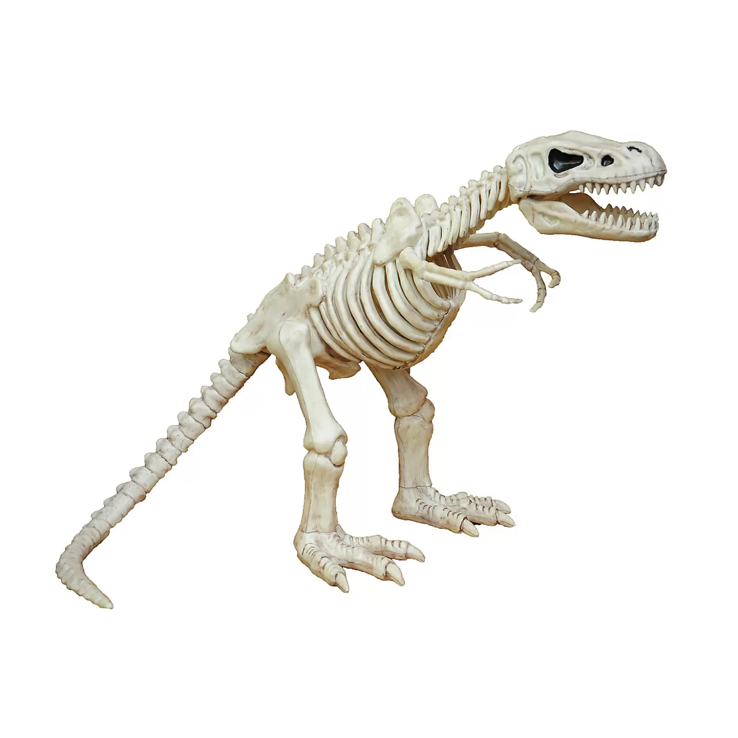 Discount 16" T-Rex Skeleton Decoration Skulls & Skeletons