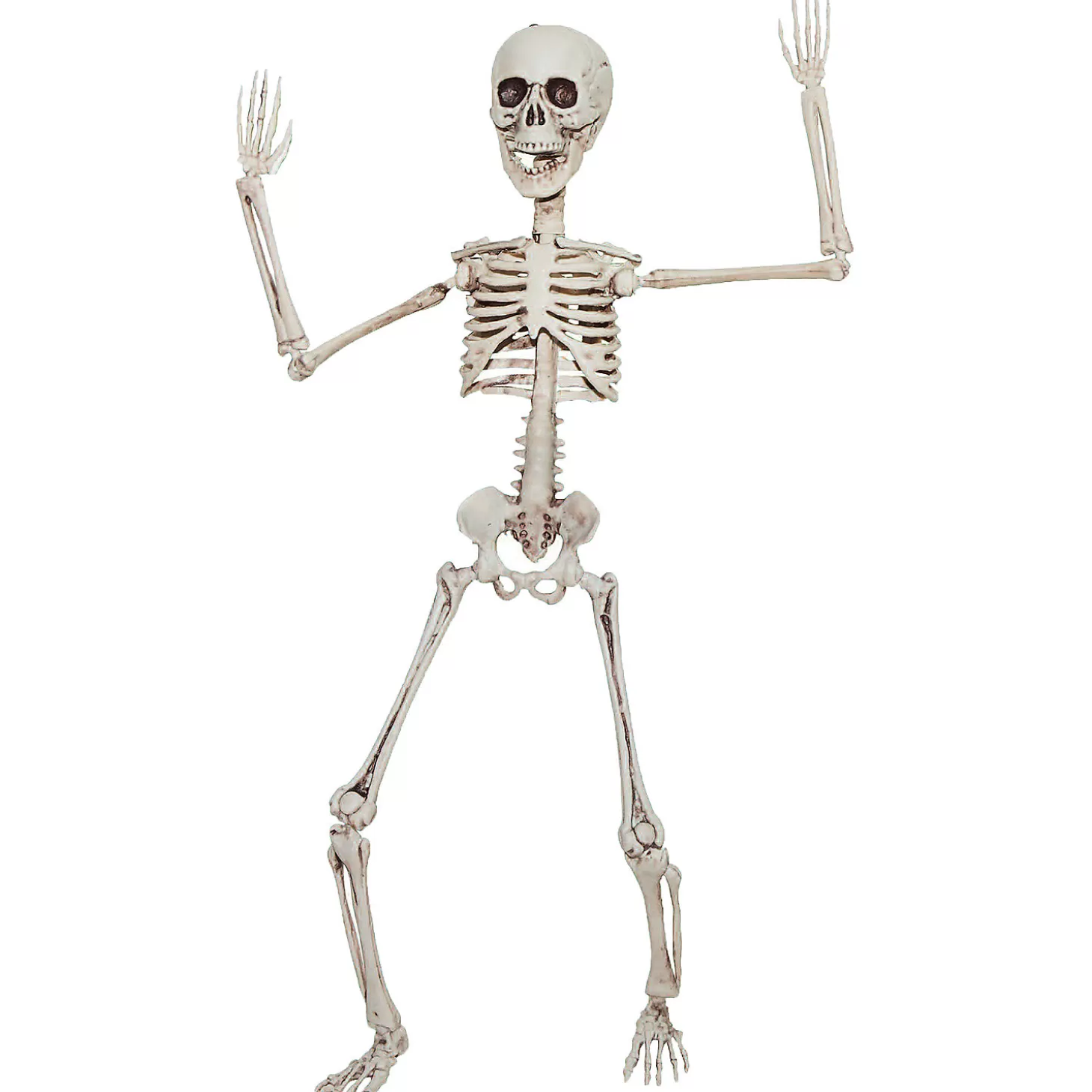 Online 19" Poseable Skeleton Decoration Skulls & Skeletons