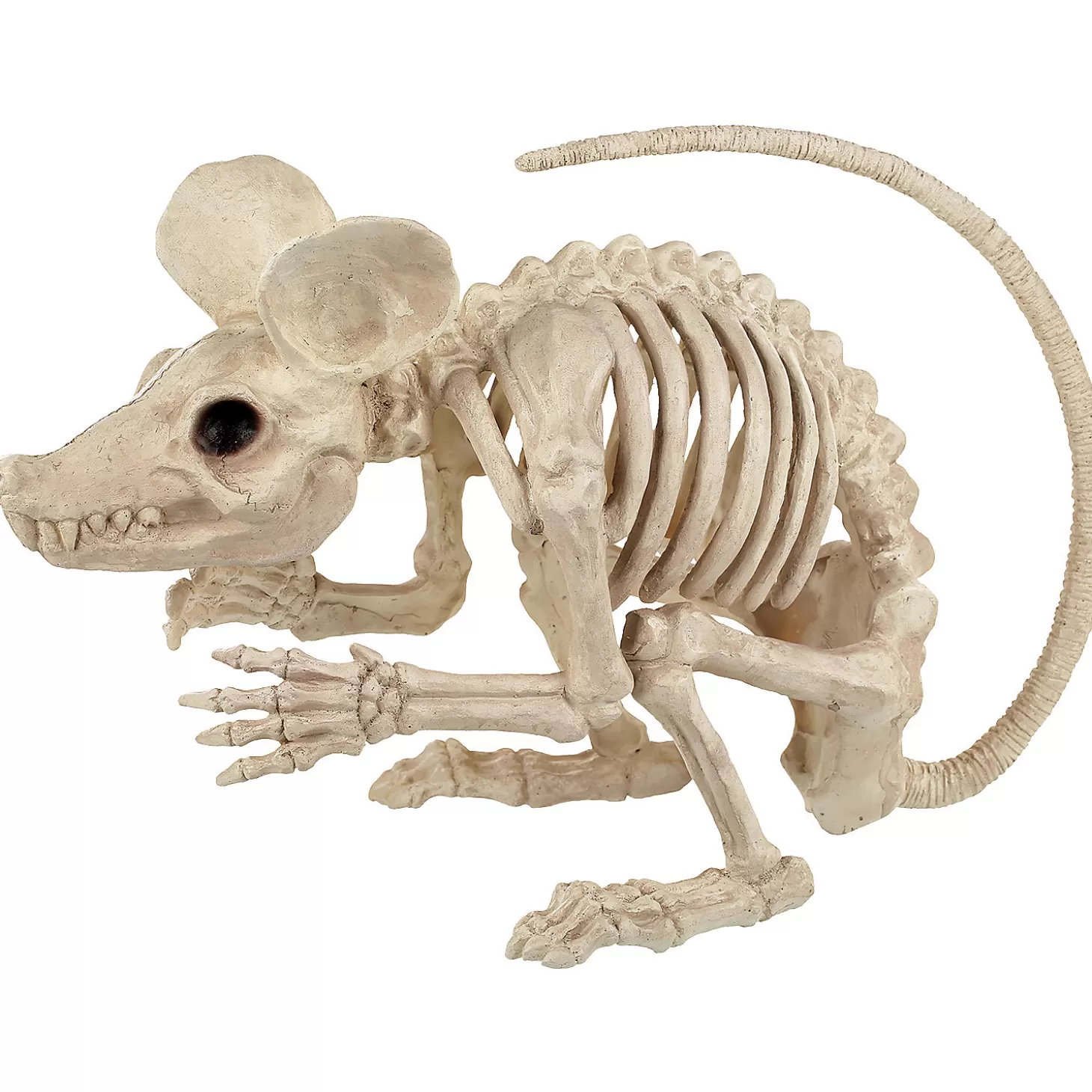 Shop 21.5" Rat Attack Skeleton Decoration Skulls & Skeletons