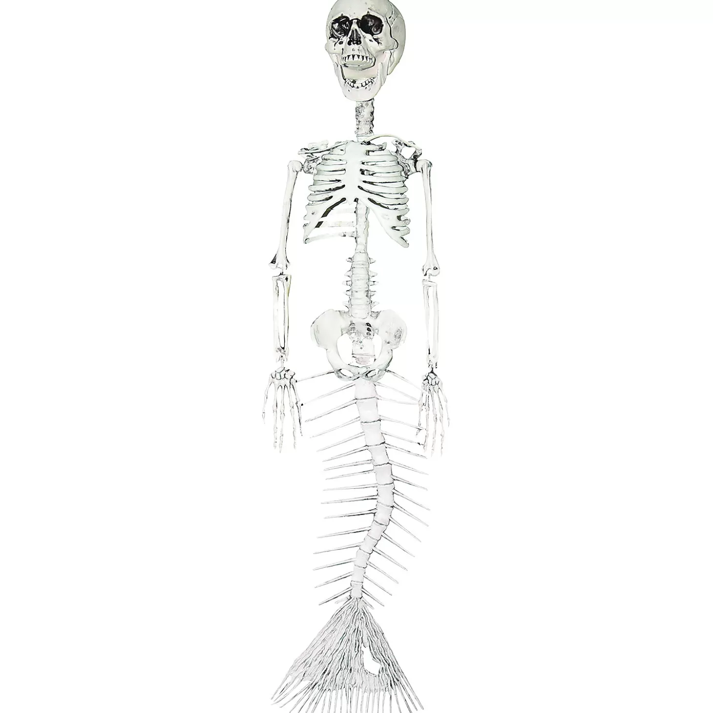 New 30" Mermaid Skeleton Decoration Skulls & Skeletons