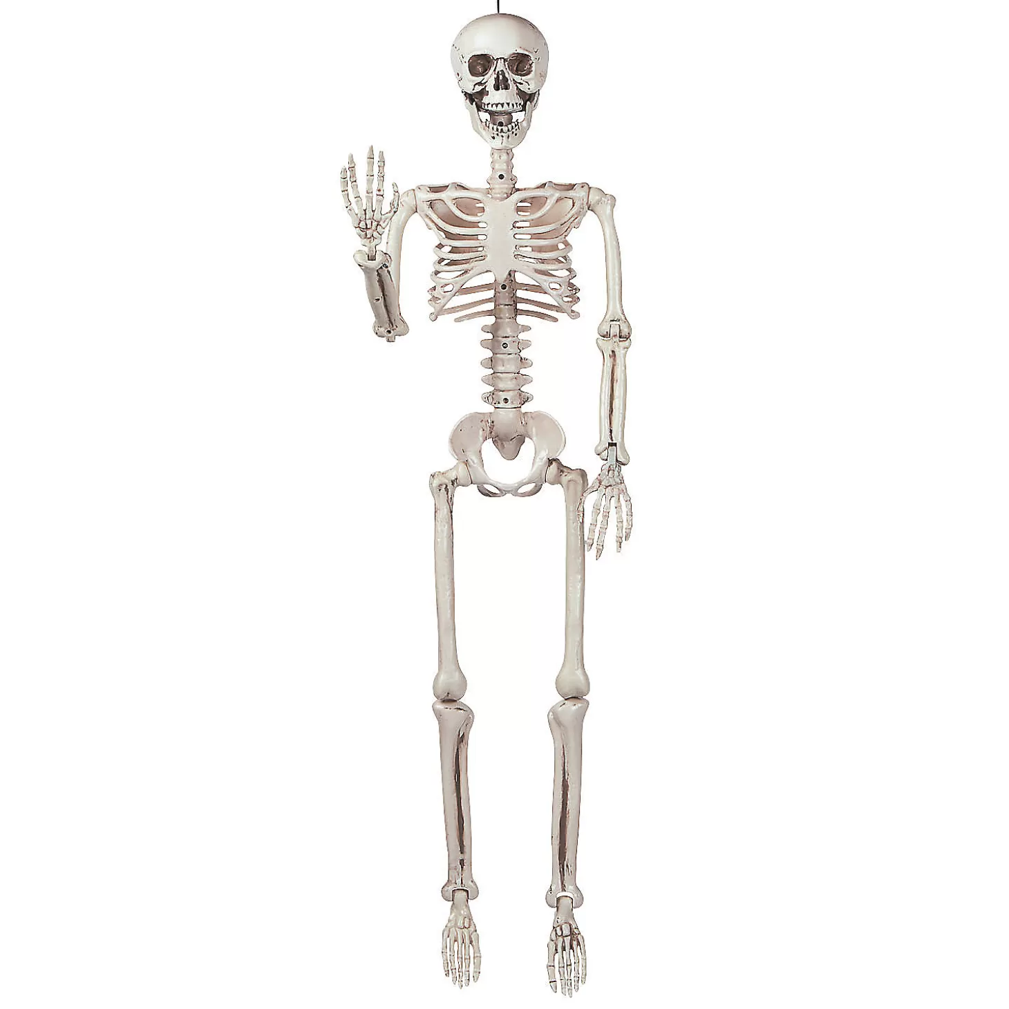 Fashion 3' Posable Skeleton Halloween Decoration Skulls & Skeletons