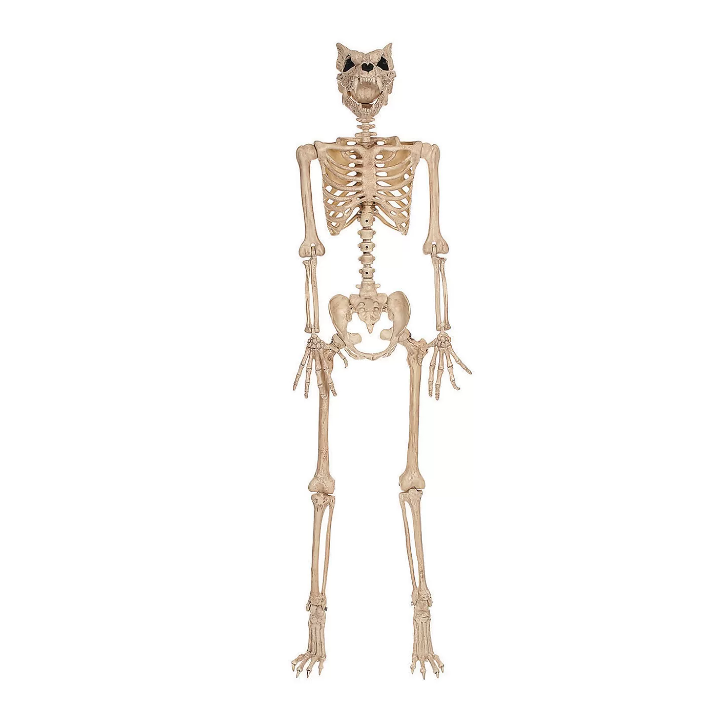 Flash Sale 5 Ft. Werewolf Skeleton Halloween Decoration Skulls & Skeletons