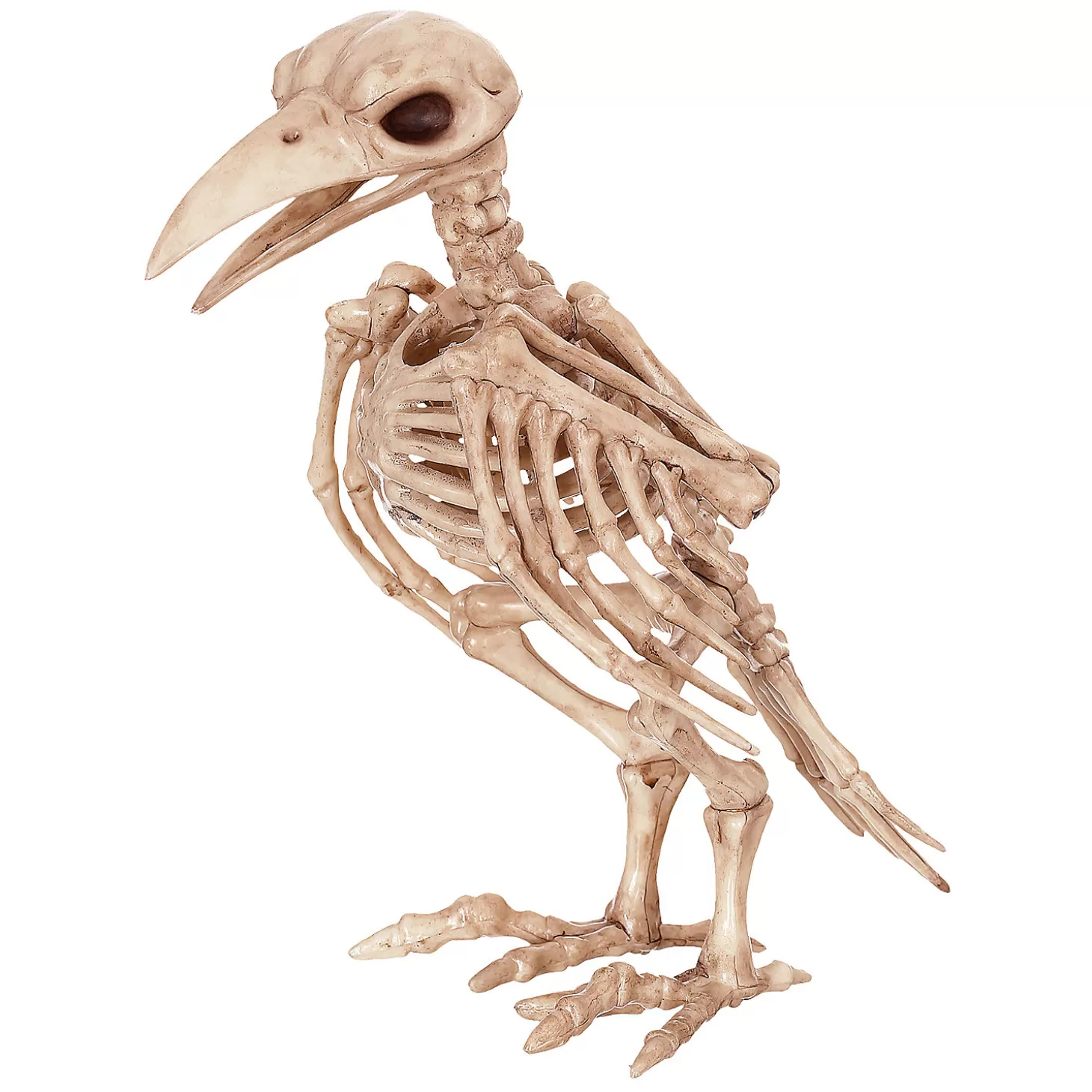 Hot 6.5" Raven Skeleton Decoration Skulls & Skeletons