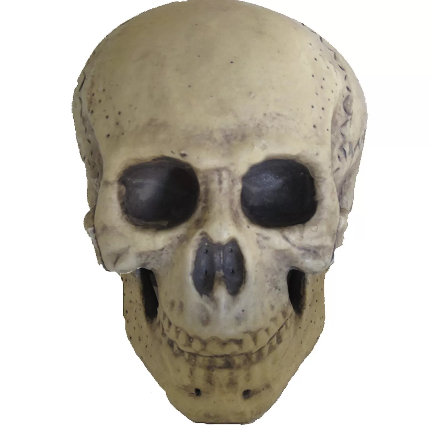 Best Sale 9.5" Foam Skull Decoration Skulls & Skeletons