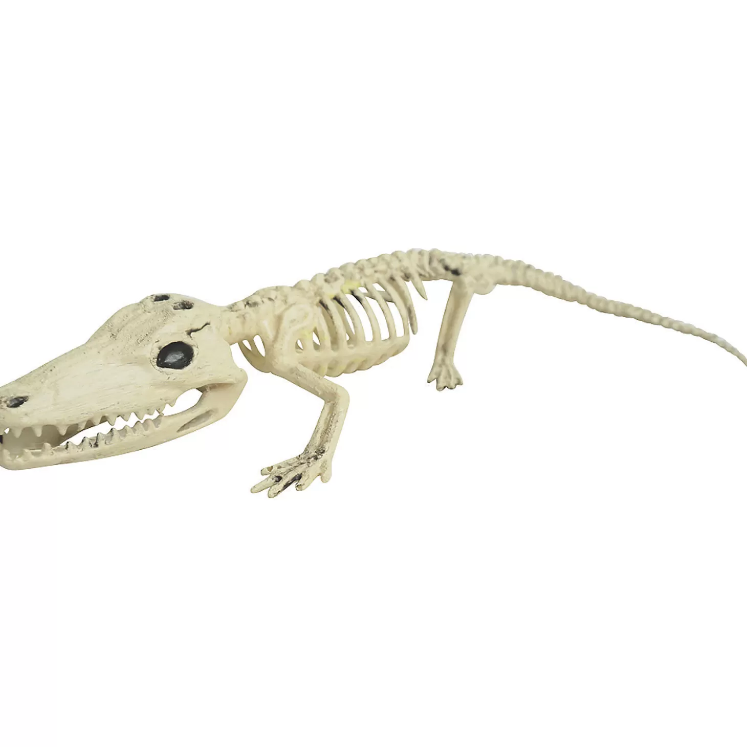 Cheap Alligator Skeleton Halloween Decoration Skulls & Skeletons