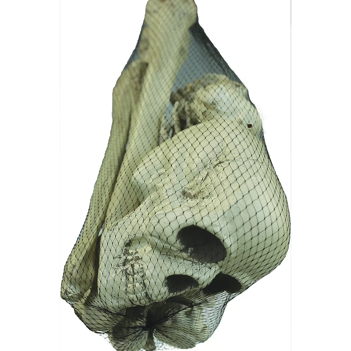 Clearance Bag Of Bones Skulls & Skeletons