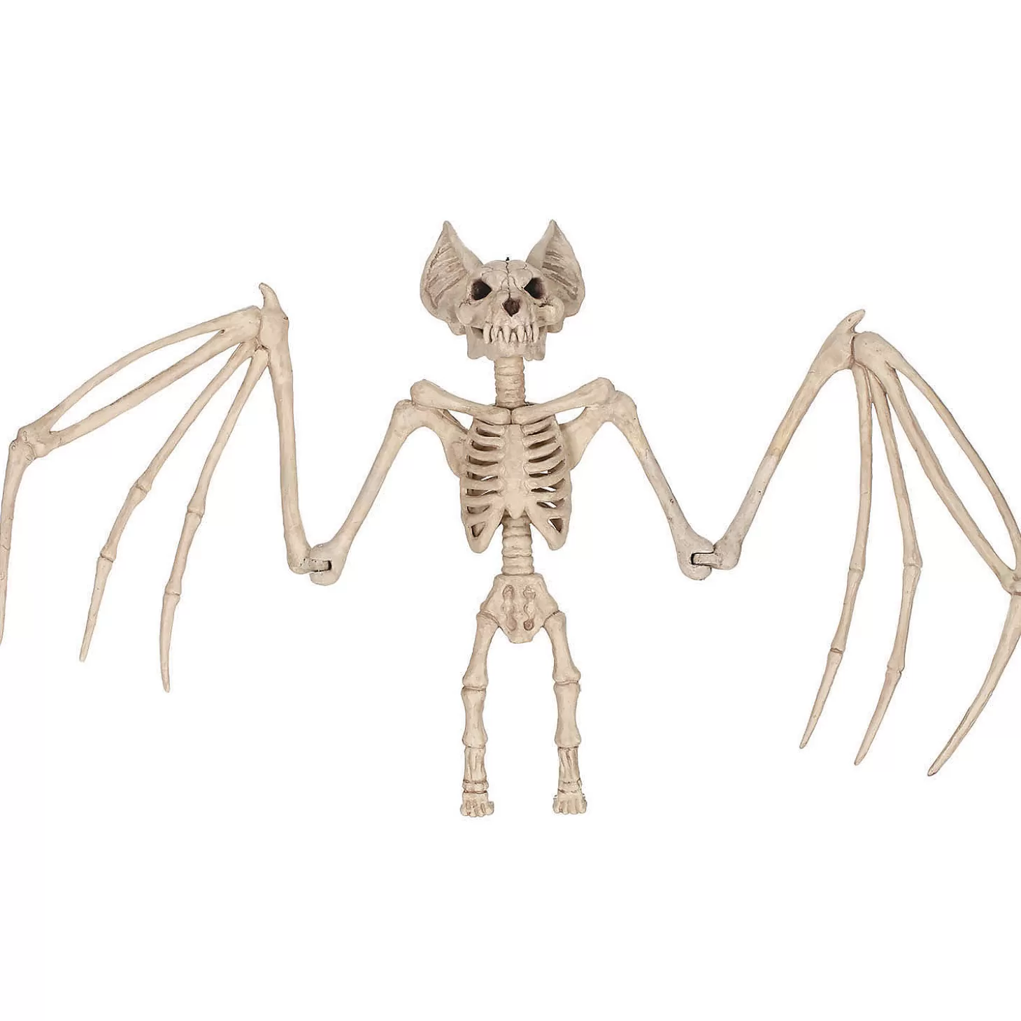 Clearance Bat Skeleton Halloween Decoration Skulls & Skeletons