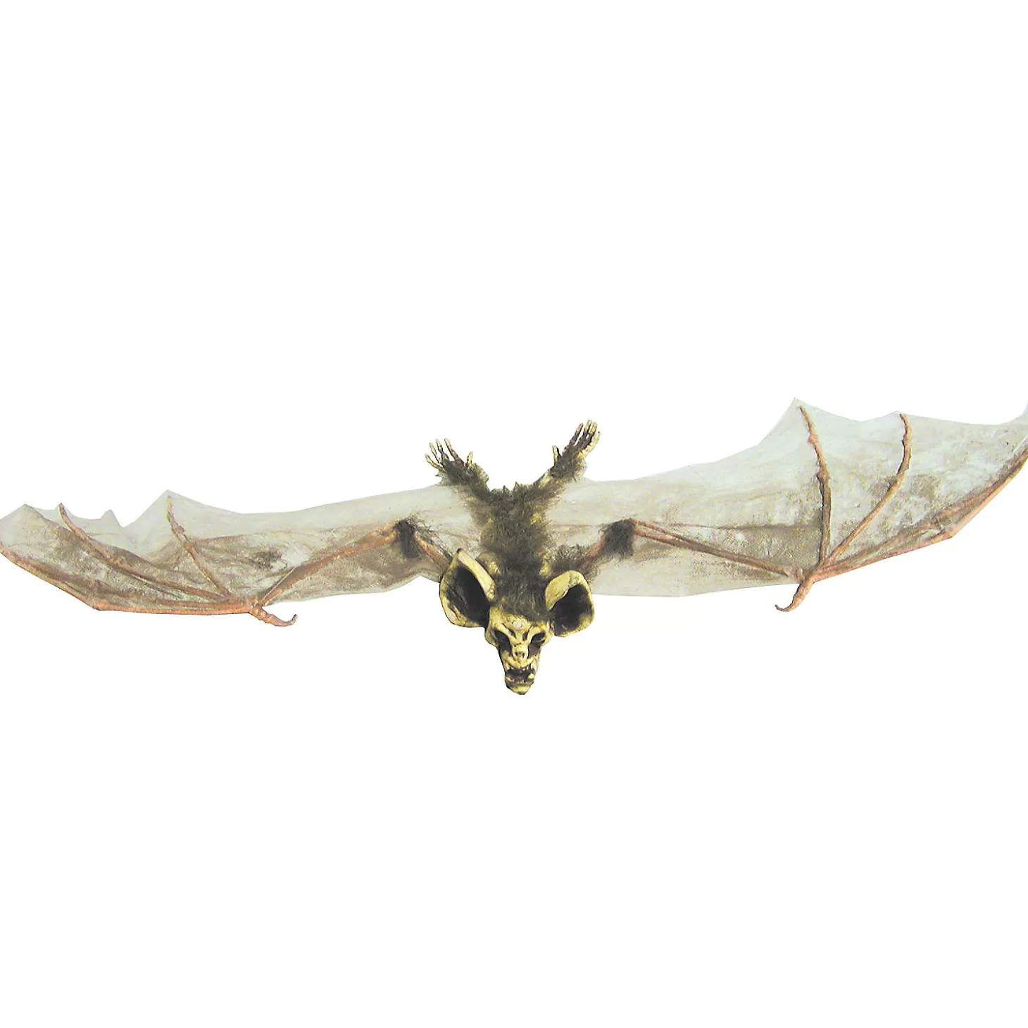 Shop Bat With Skull Head (Brown) Skulls & Skeletons