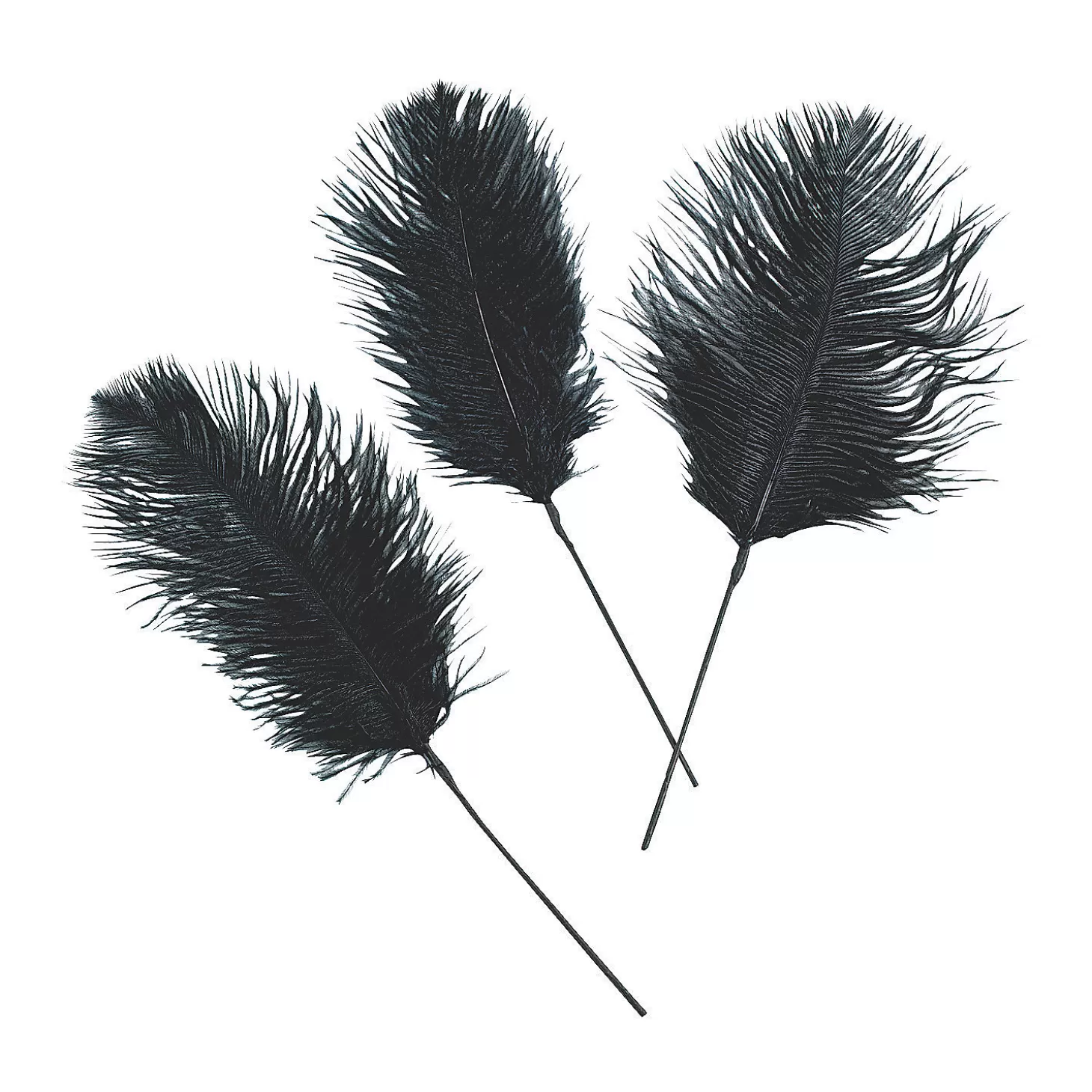 Best Sale Black Ostrich Feathers - 24 Pc. Diy Adult Crafts