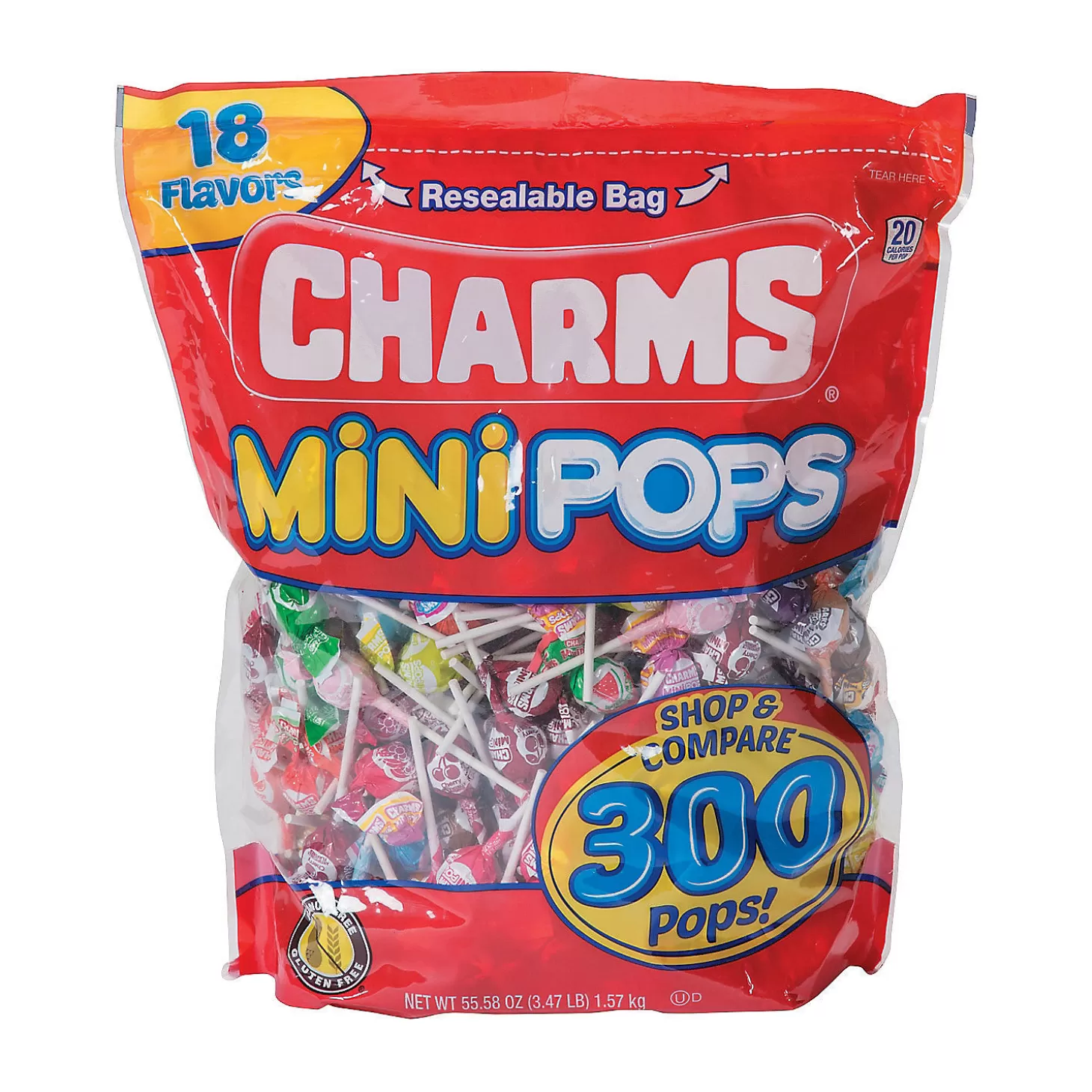 Store Bulk 300 Pc. Charms Boo Bags