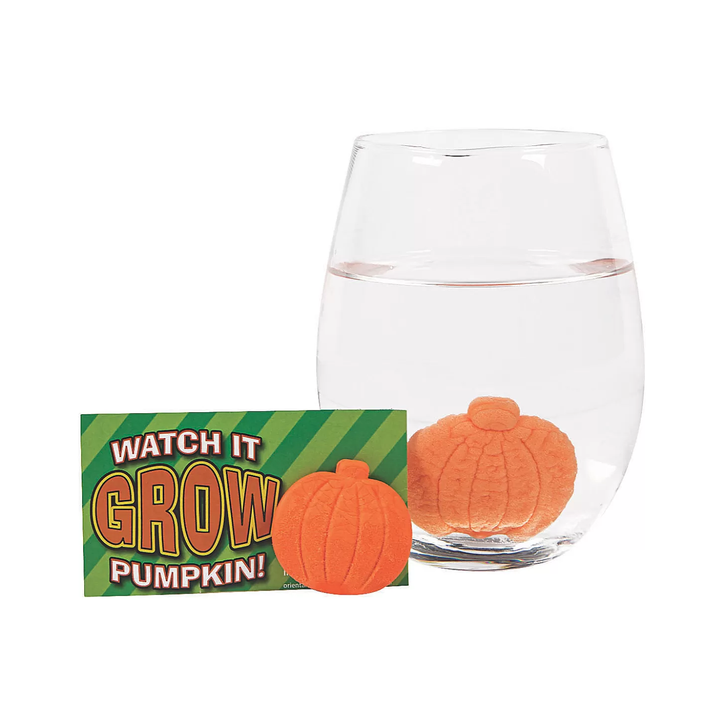 Best Bulk 48 Pc. Watch It Grow Pumpkin Water Growing Toys Bulk Halloween Supplies