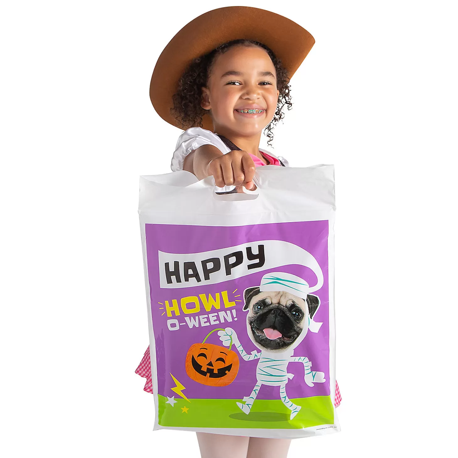 Discount Bulk 50 Pc. Funny Animal Halloween Resealable Treat Bags Boo Bags