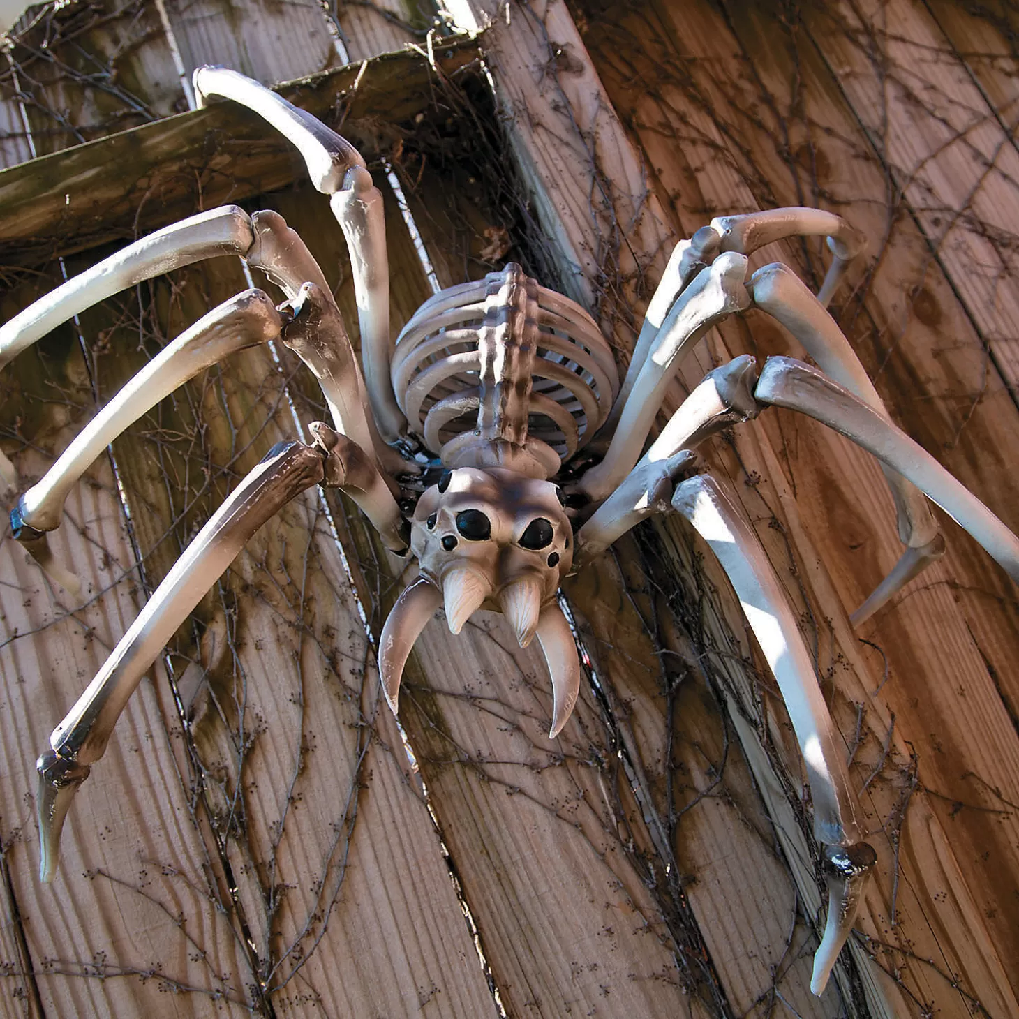 Store Bulk Giant Skeleton Spider Halloween Decorations - 4 Pc. Skulls & Skeletons