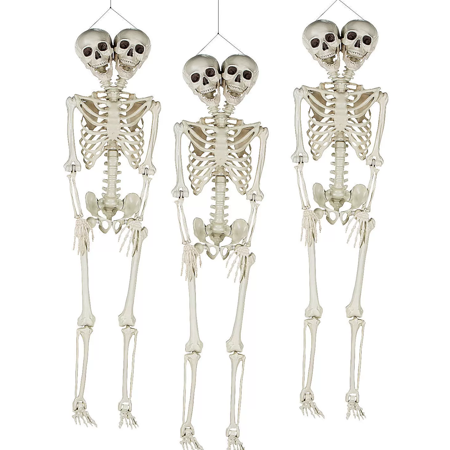 Online Bulk Two-Headed Life-Size Posable Skeleton Halloween Decorations - 3 Pc. Skulls & Skeletons