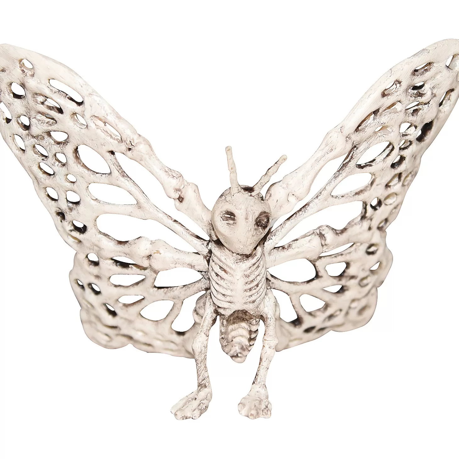 New Butterfly Skulls & Skeletons