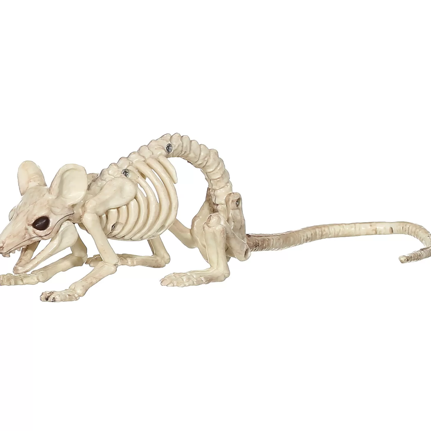 Sale Crawling Rat Skeleton Skulls & Skeletons