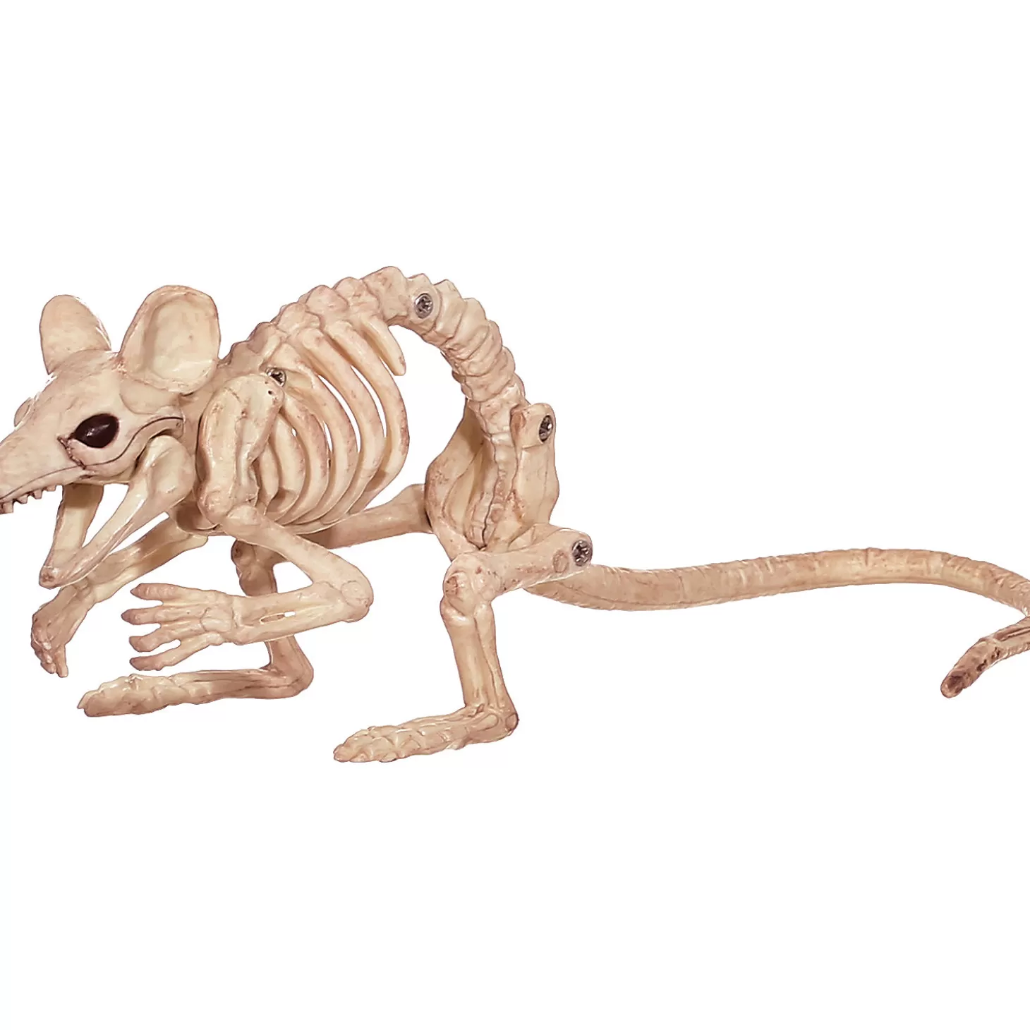 Outlet Creepy Crouching Mouse Skulls & Skeletons