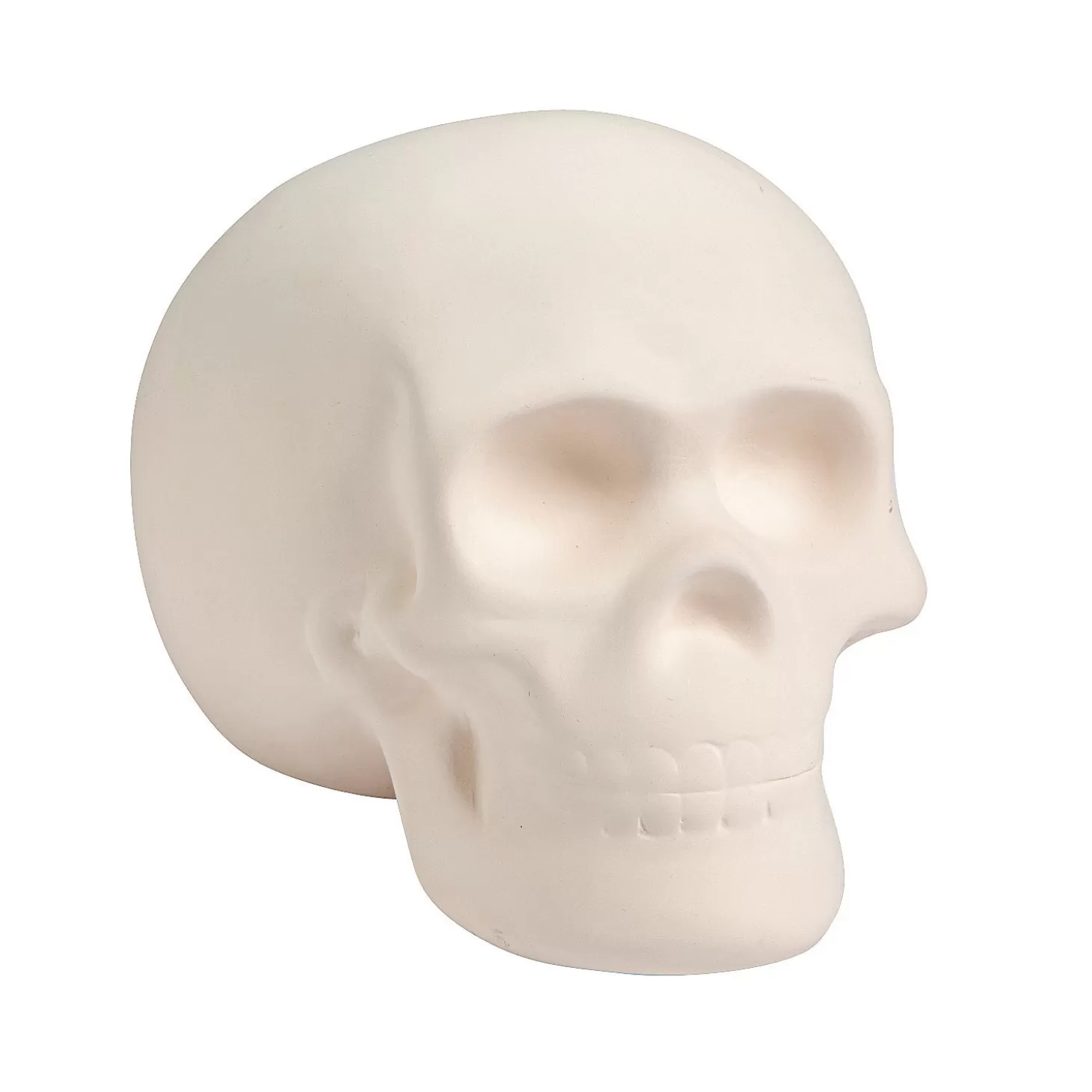 Outlet Diy Ceramic Skull Diy Adult Crafts