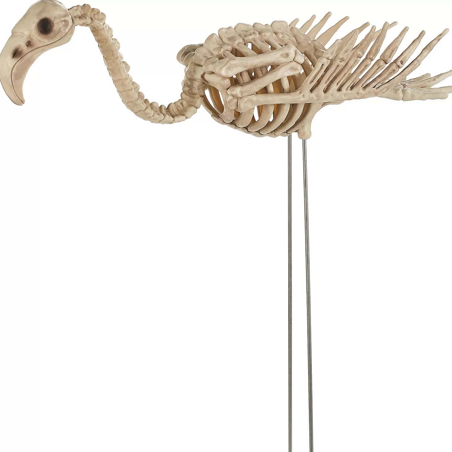 Discount Flamingo Skeleton Skulls & Skeletons