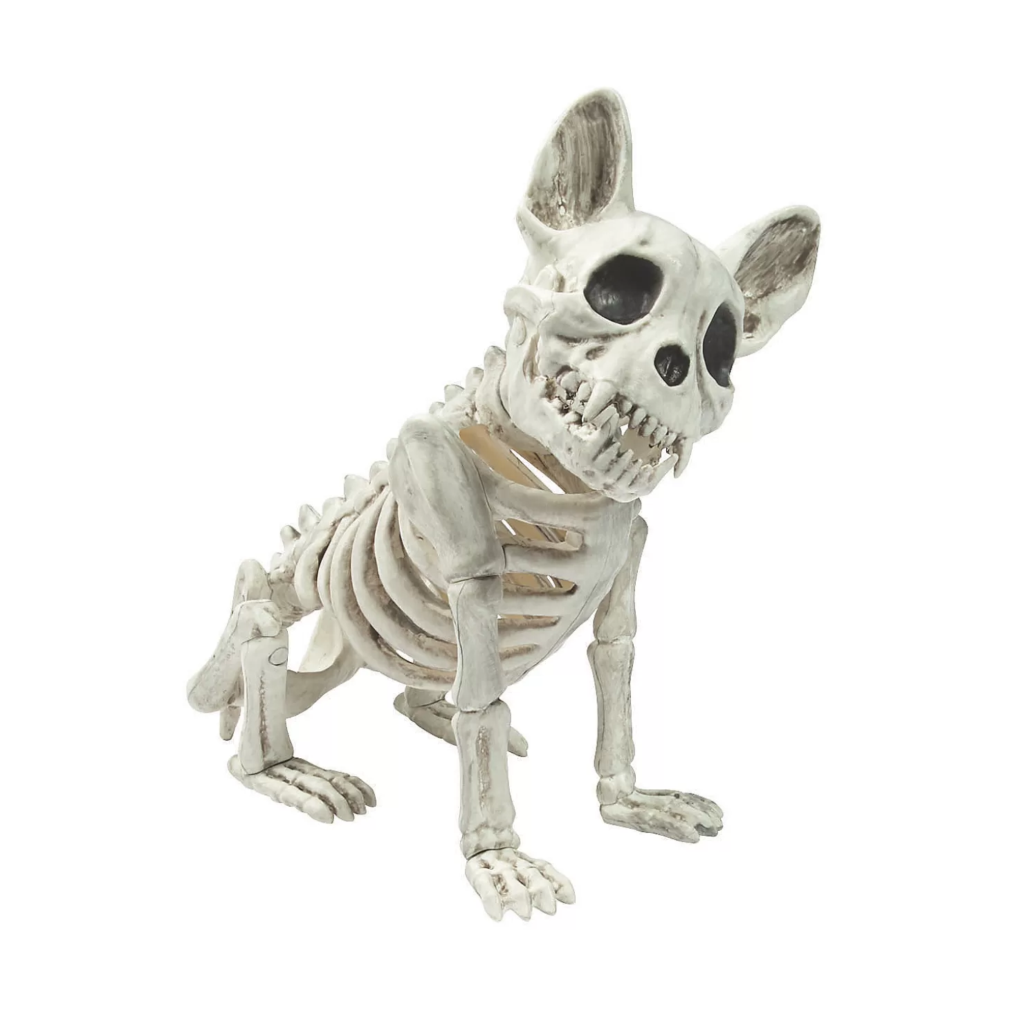 Sale French Bulldog Skeleton Halloween Decoration Skulls & Skeletons