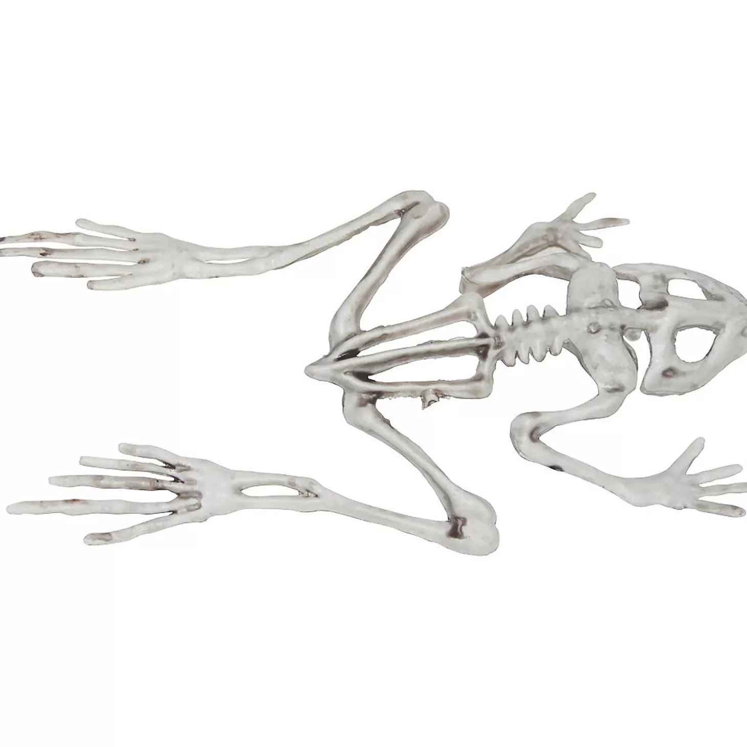 Clearance Frog Skeleton Halloween Decoration Skulls & Skeletons