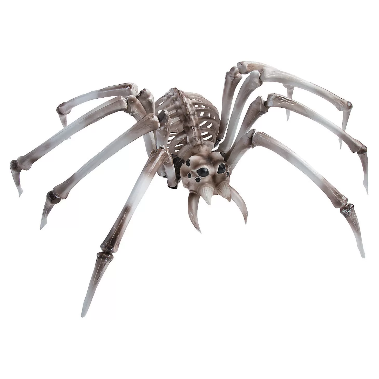 Clearance Giant Spider Skeleton Halloween Decoration Skulls & Skeletons