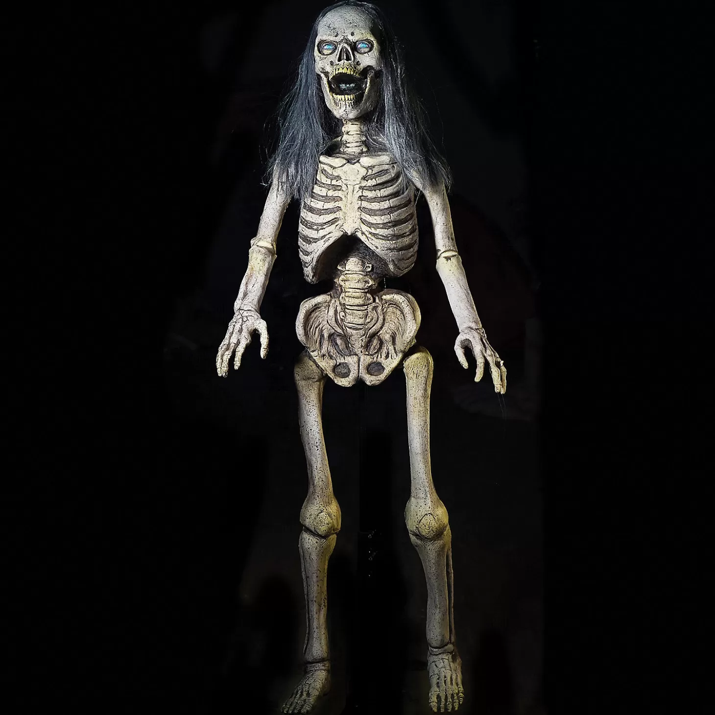 Online Hairy Scary Skeleton Prop Skulls & Skeletons