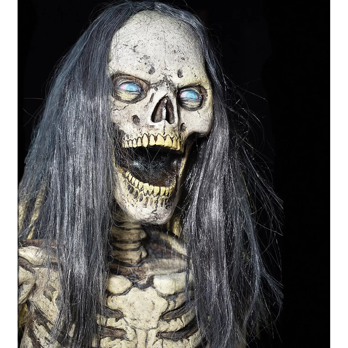 Online Hairy Scary Skeleton Prop Skulls & Skeletons