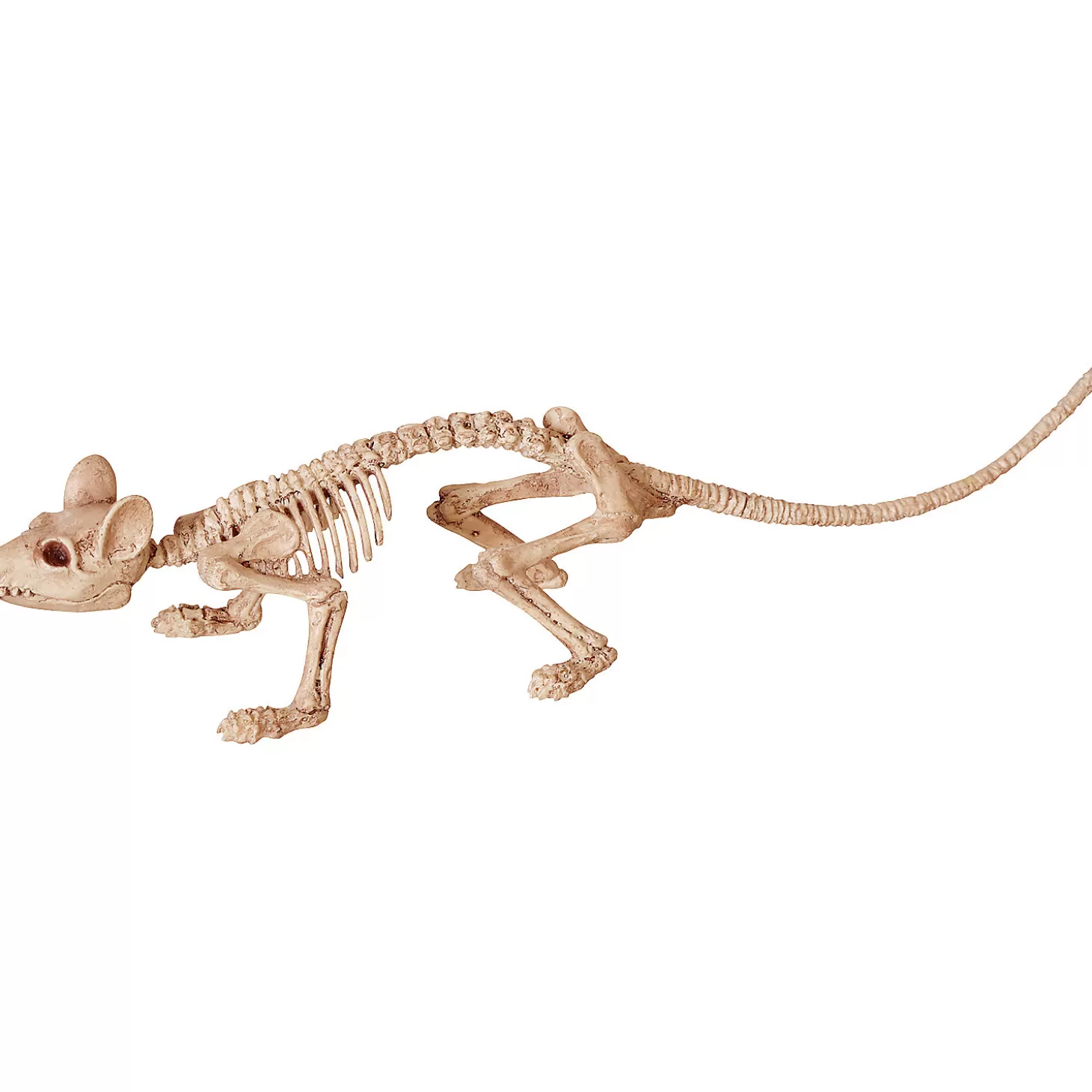 Cheap Mini Skeleton Rat Prop Skulls & Skeletons