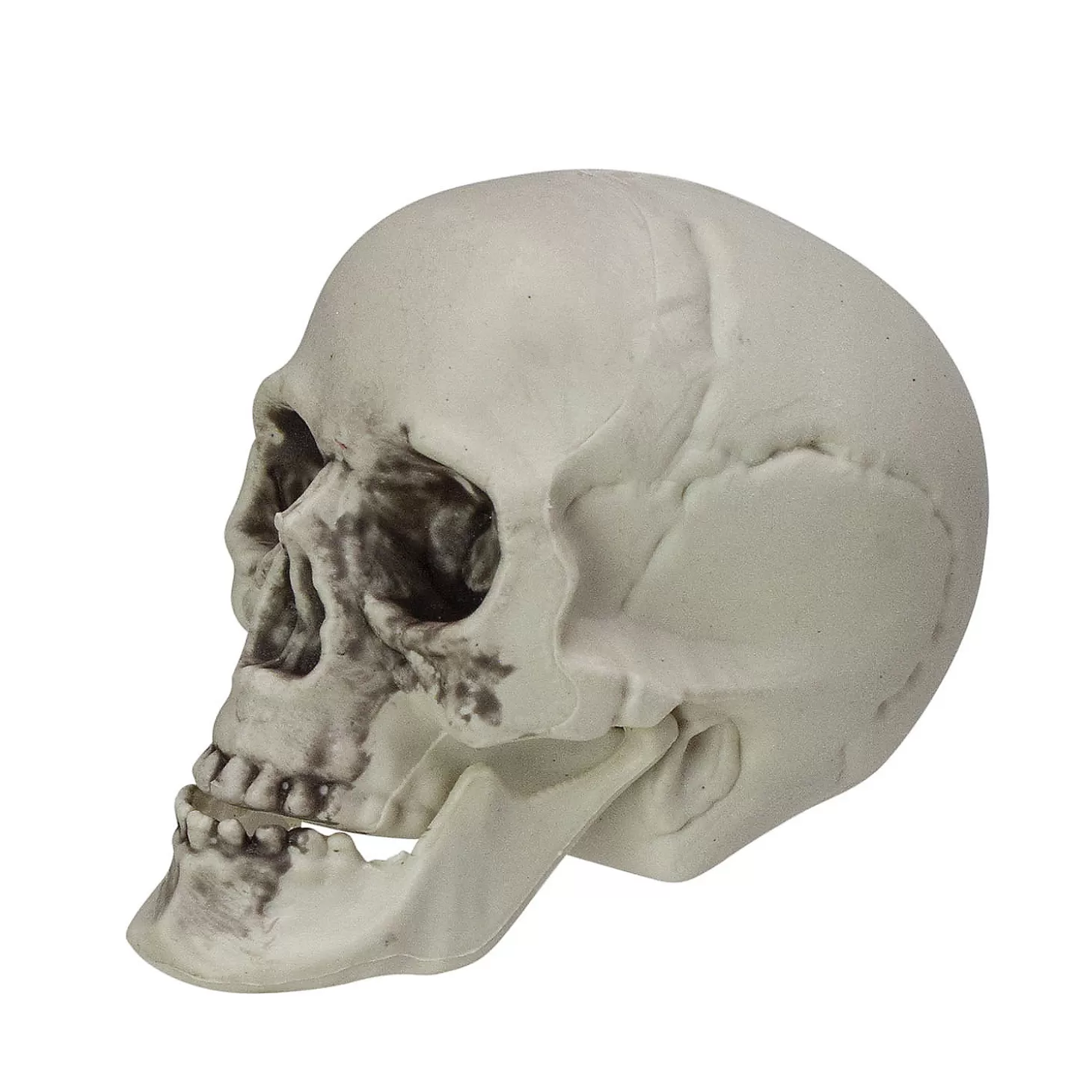 Cheap Pack Of 6 Skull Head Halloween Decorations 3.5" Skulls & Skeletons