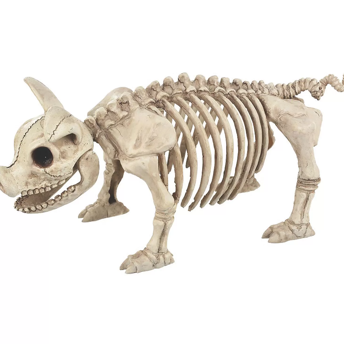 Online Pig Skeleton Halloween Decoration Skulls & Skeletons