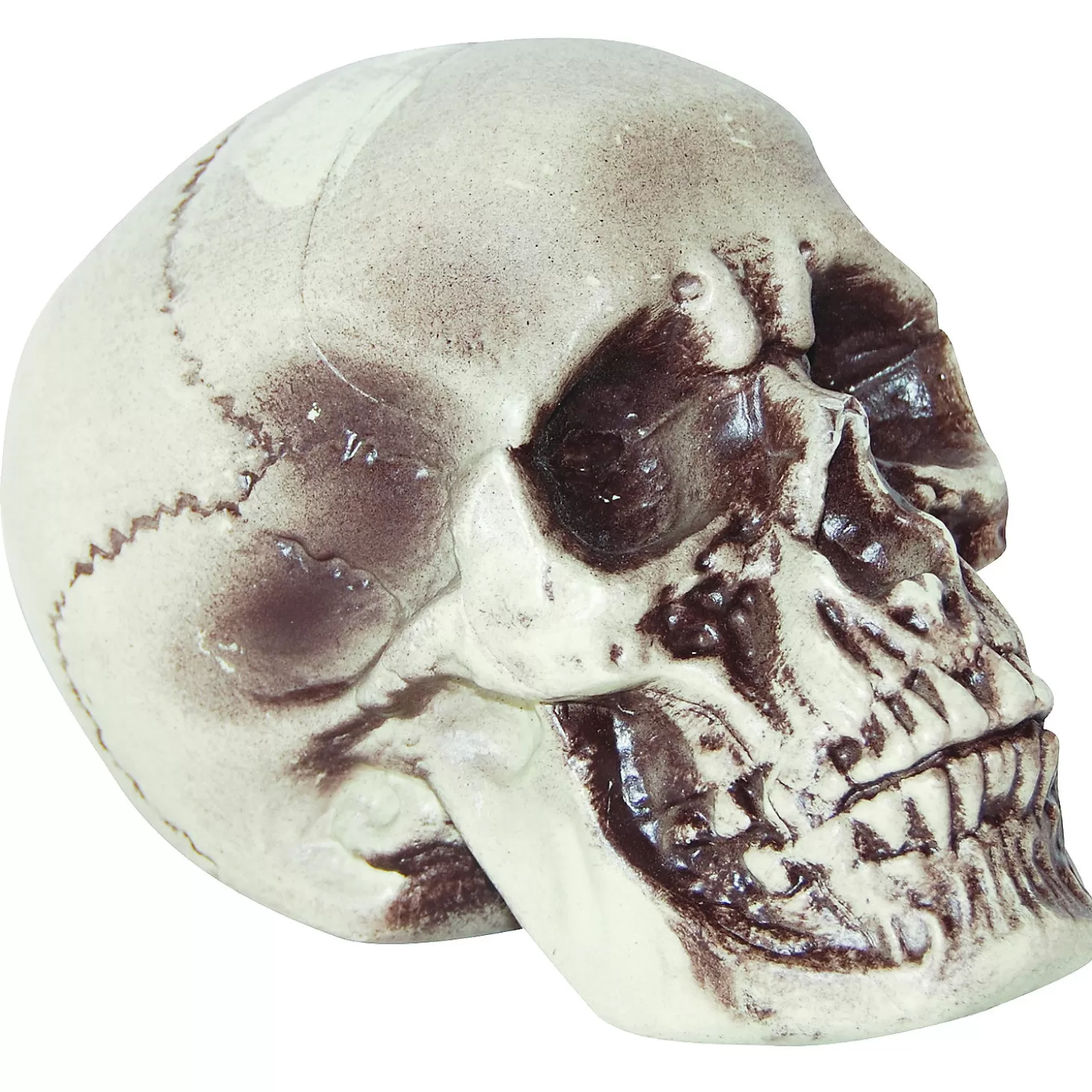 Hot Realistic Skull Decoration Skulls & Skeletons