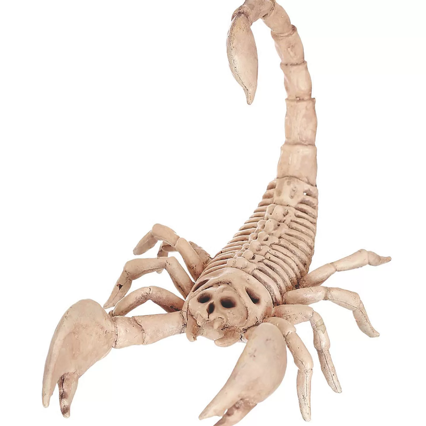 Clearance Scorpion Skeleton Halloween Decoration Skulls & Skeletons