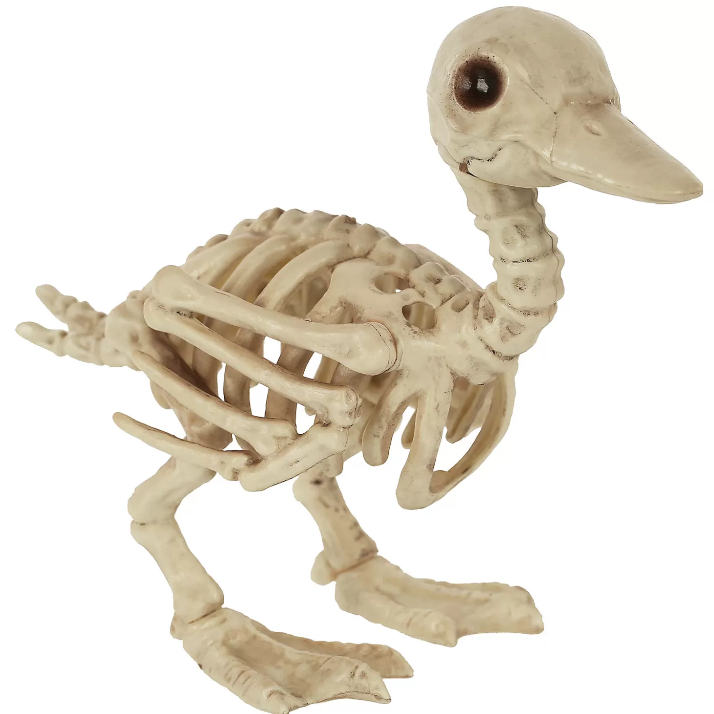 Outlet Skeleton Baby Duck Prop Skulls & Skeletons