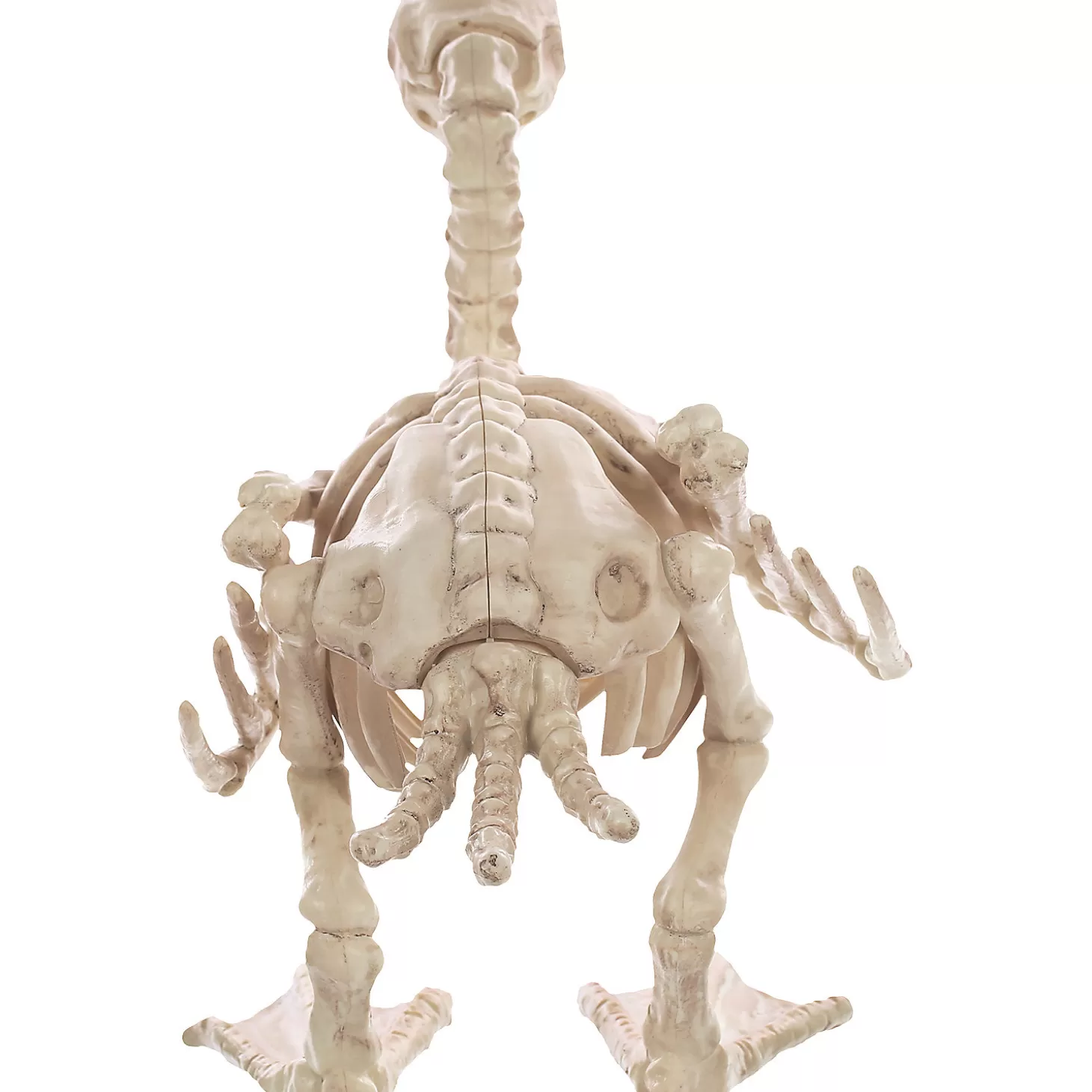 Outlet Skeleton Baby Duck Prop Skulls & Skeletons