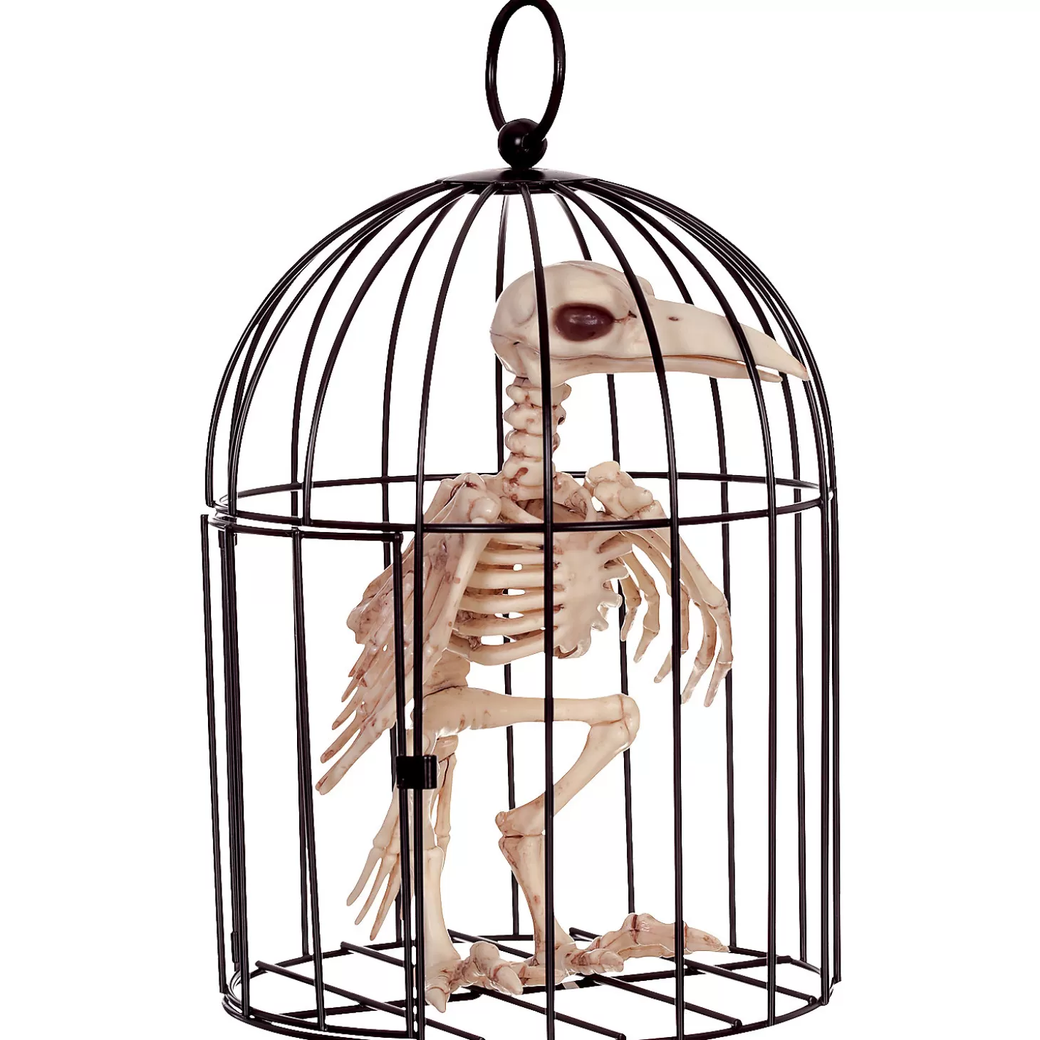 Best Sale Skeleton Crow In A Cage Skulls & Skeletons