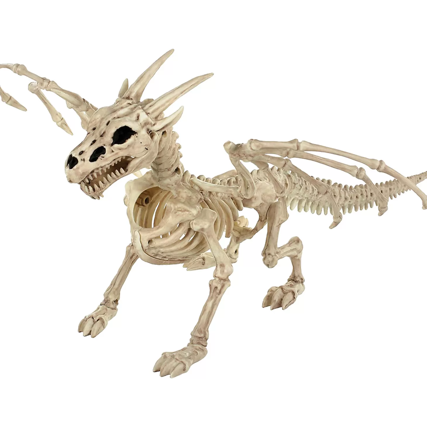 Best Sale Skeleton Dragon Prop Skulls & Skeletons