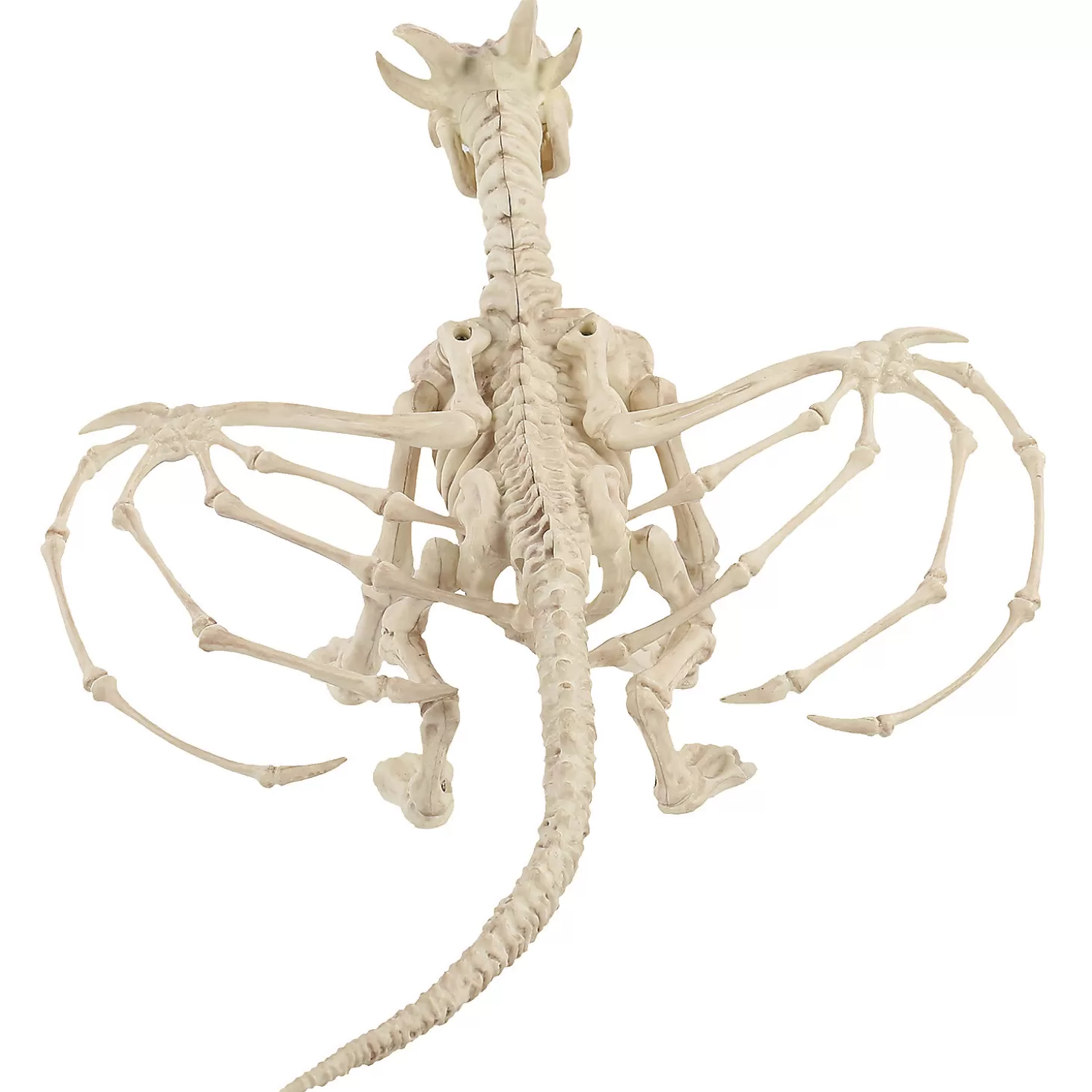 Best Sale Skeleton Dragon Prop Skulls & Skeletons