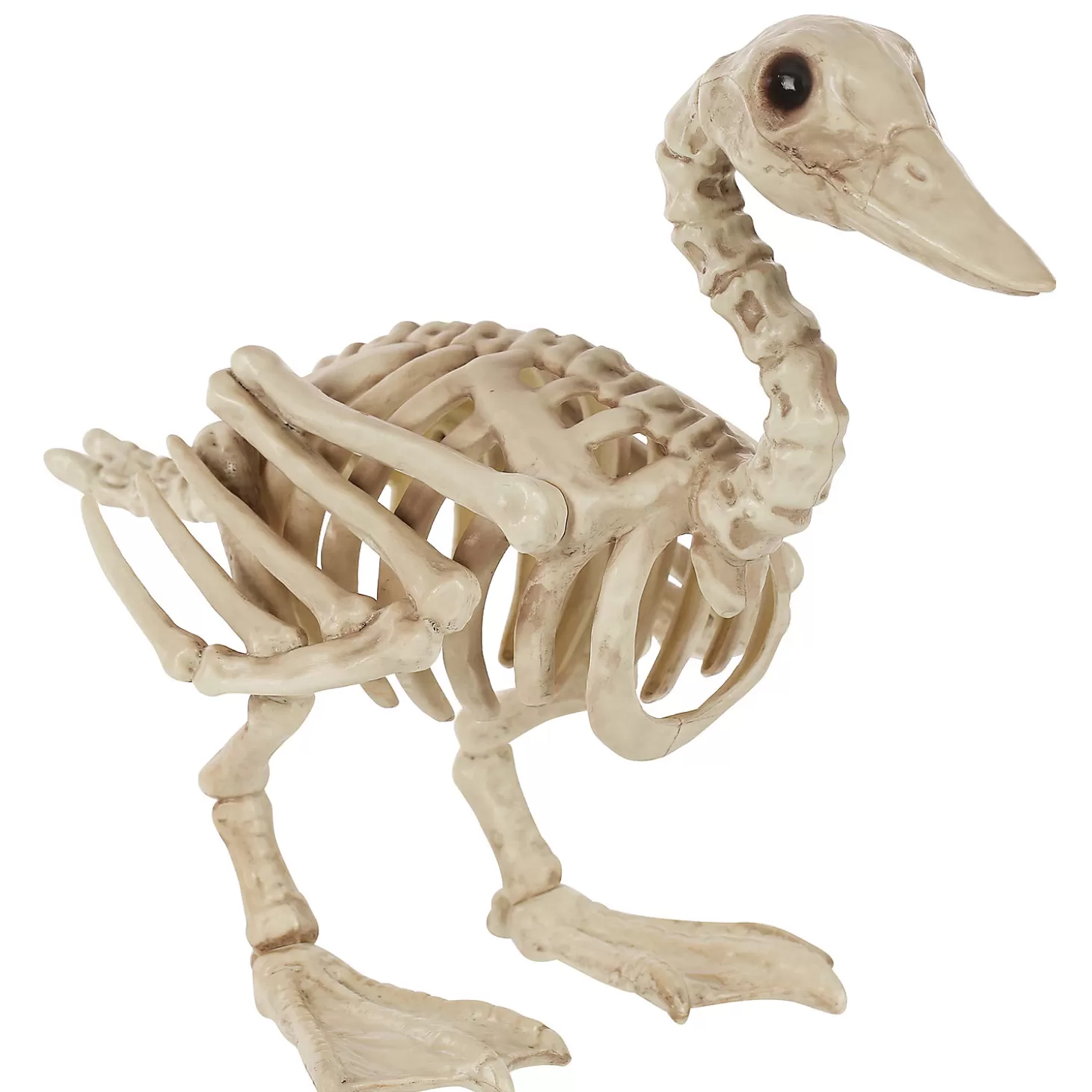 Clearance Skeleton Duck Decoration Skulls & Skeletons