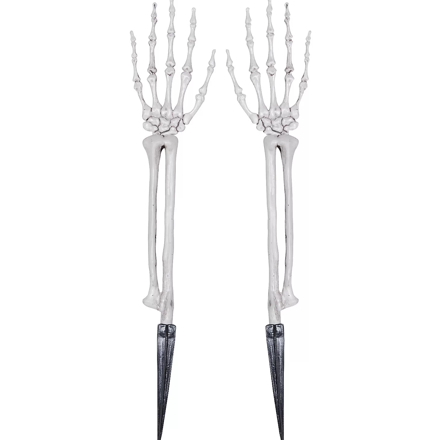 Flash Sale Skeleton Hands Skulls & Skeletons