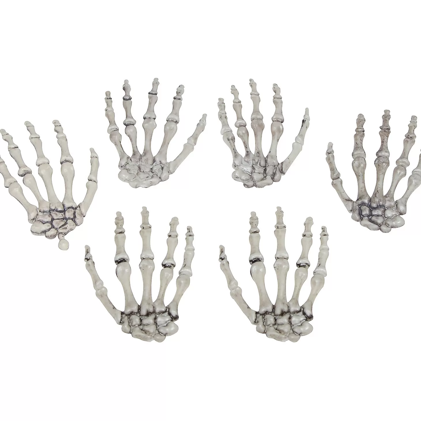 Flash Sale Skeleton Hands Skulls & Skeletons