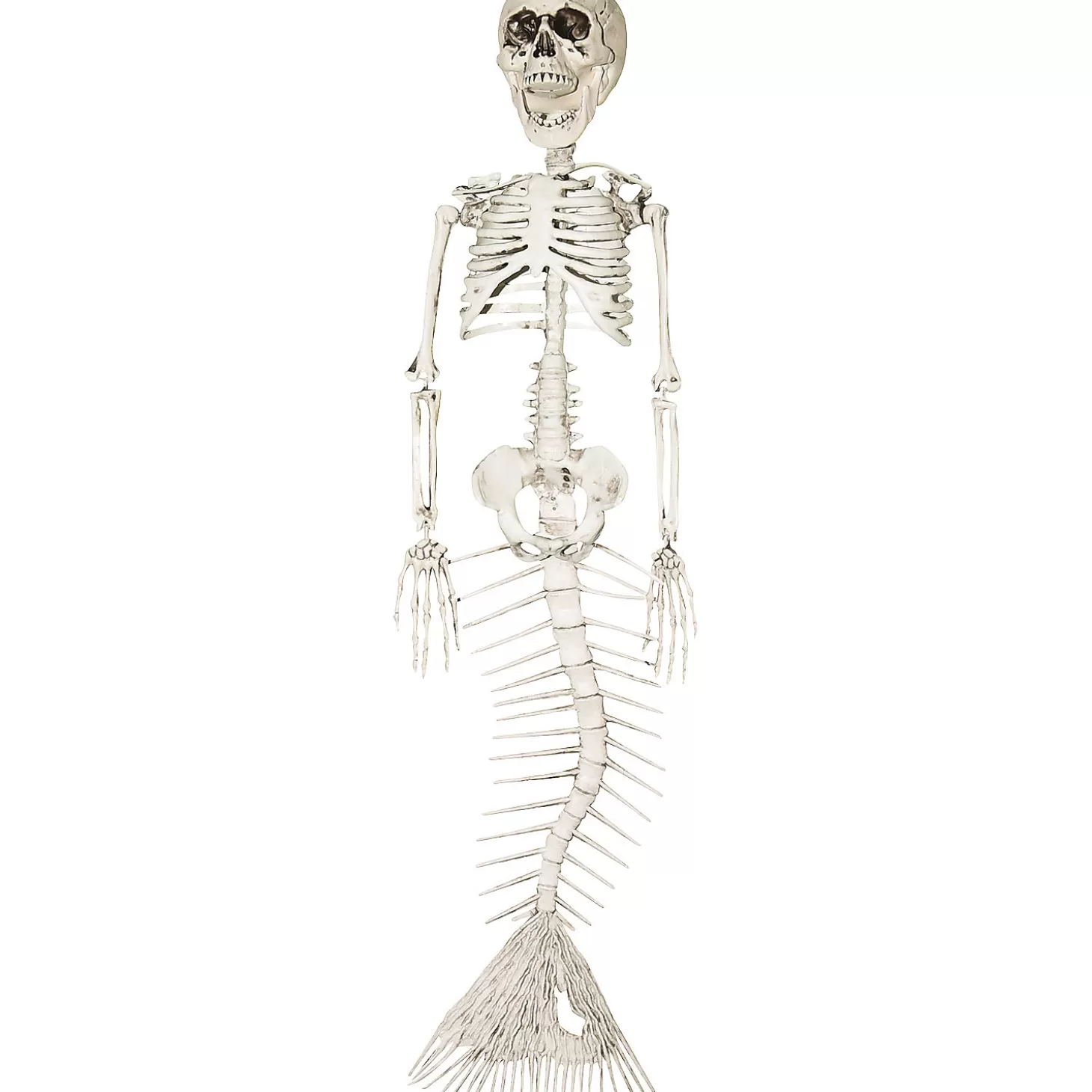 Online Skeleton Mermaid Skulls & Skeletons