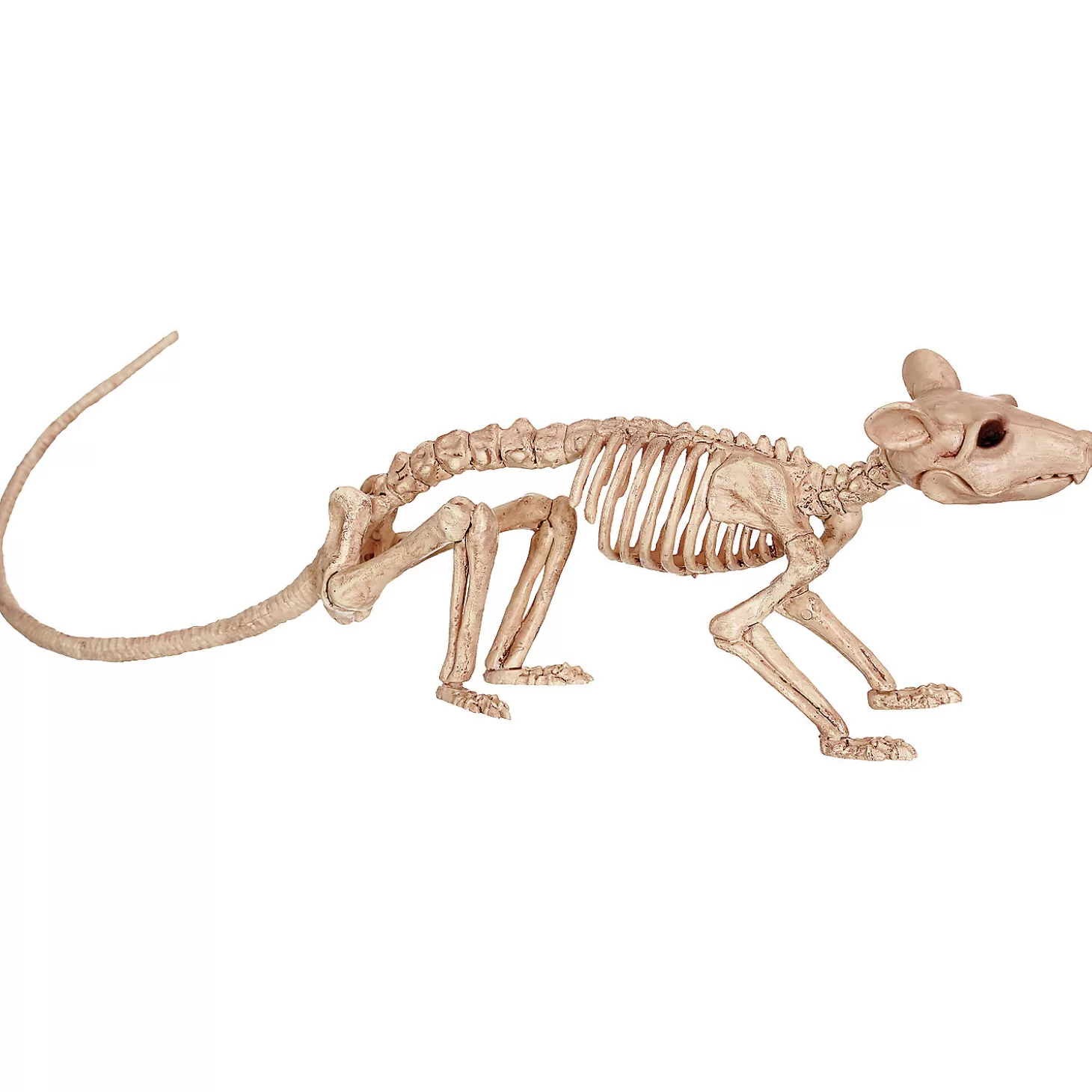 Flash Sale Skeleton Rat Decoration Skulls & Skeletons