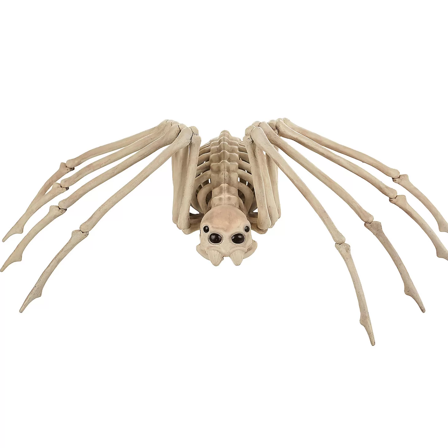 Sale Skeleton Spider Prop Skulls & Skeletons