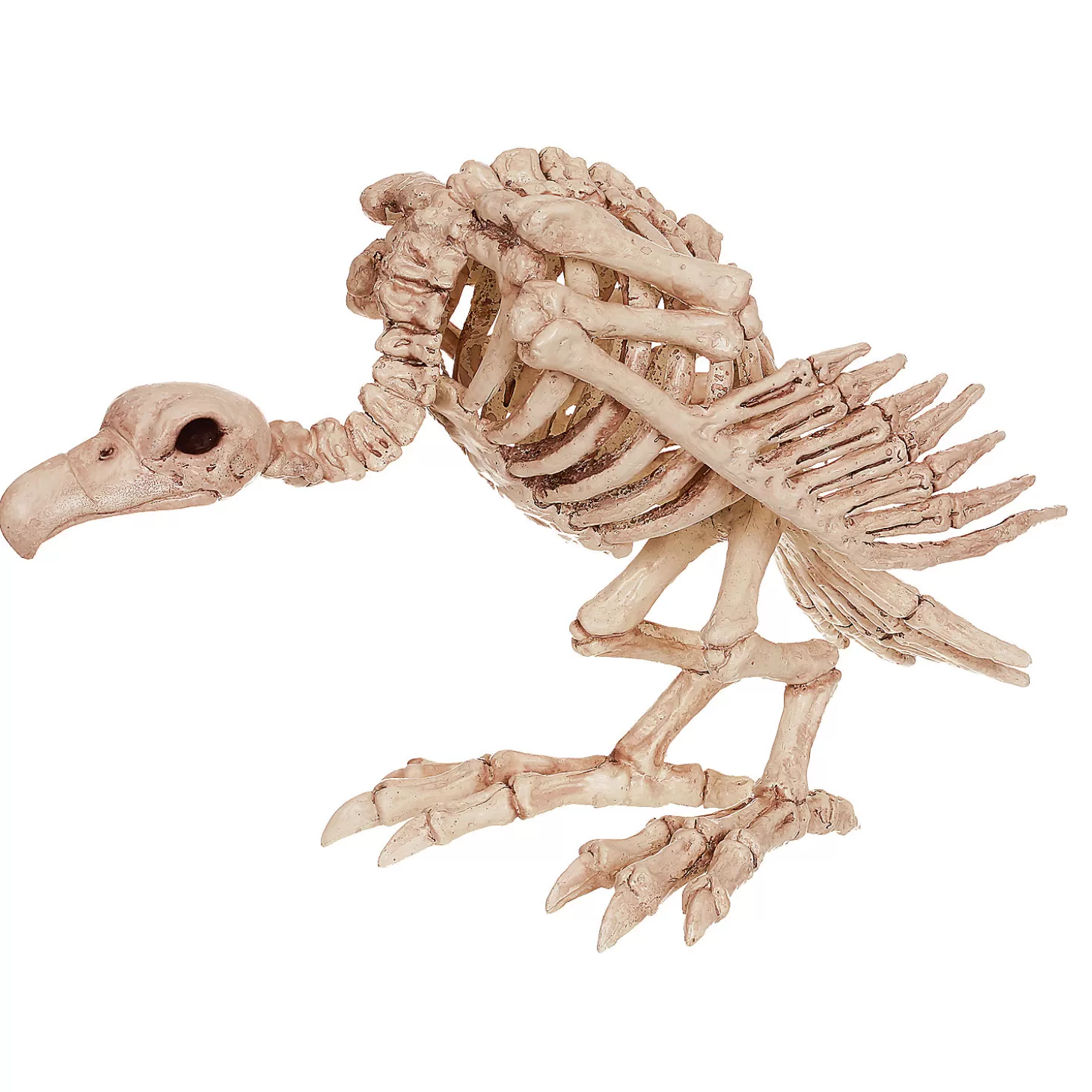 Hot Skeleton Vulture Decoration Skulls & Skeletons