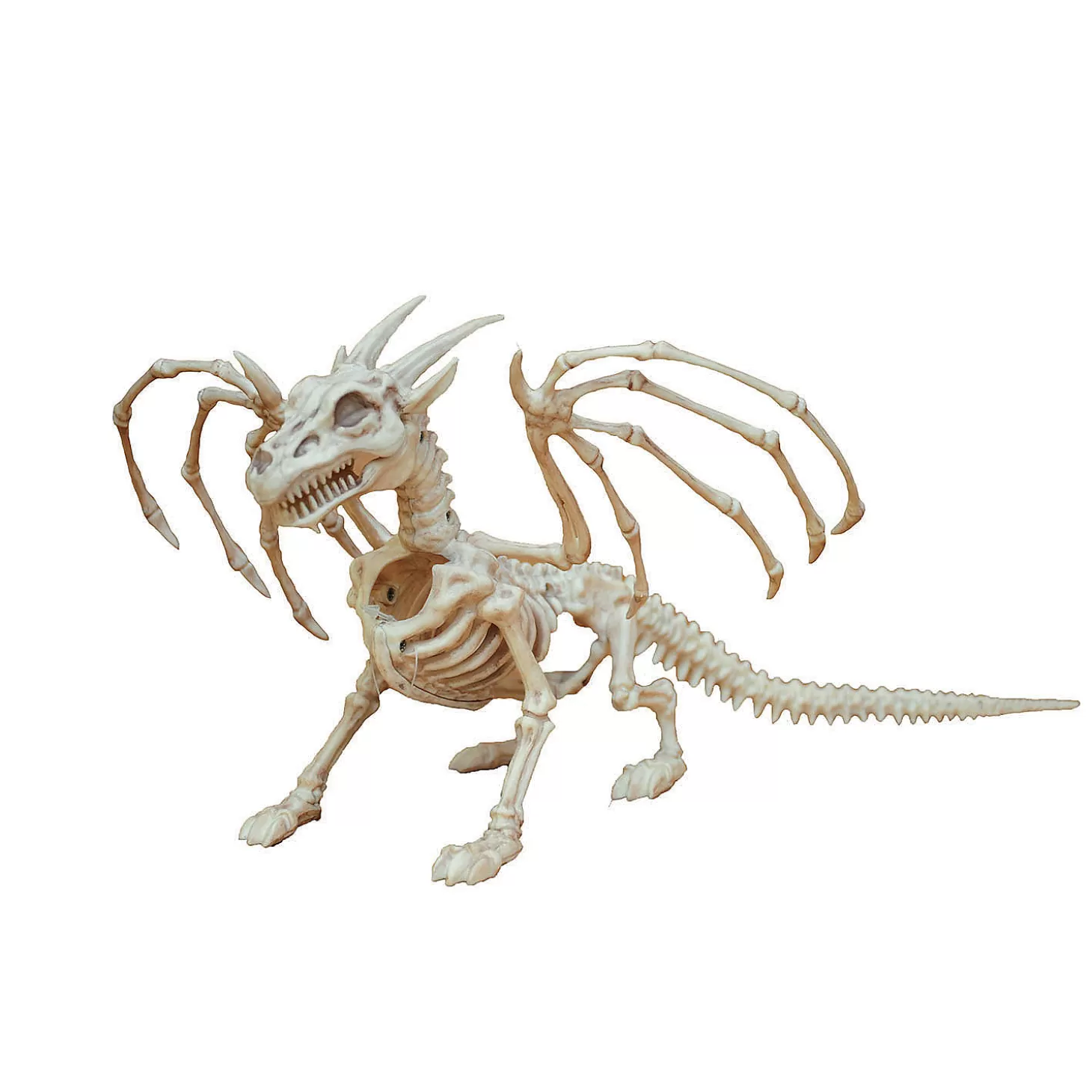 Best Small Dragon Skeleton Halloween Decoration Skulls & Skeletons