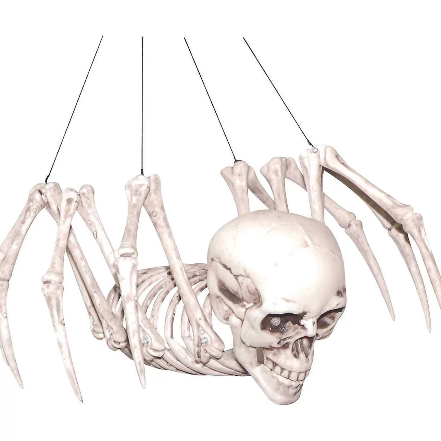 Discount Spider Skeleton Halloween Decoration Skulls & Skeletons